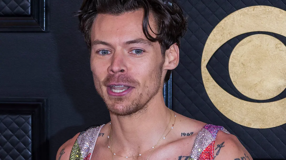 Wohnt Harry Styles aktuell in Prenzlauer Berg zur Untermiete?