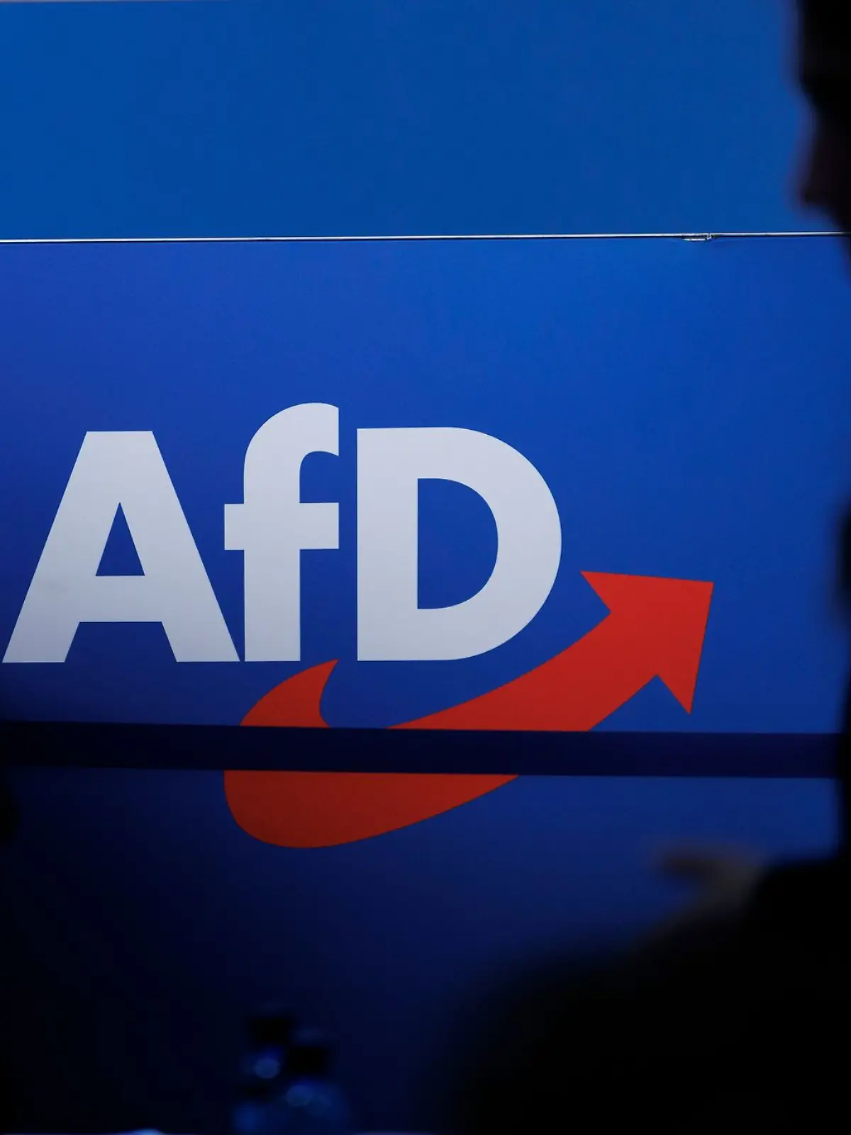 Bild zu: "AfD verklagt Verfassungsschutz "