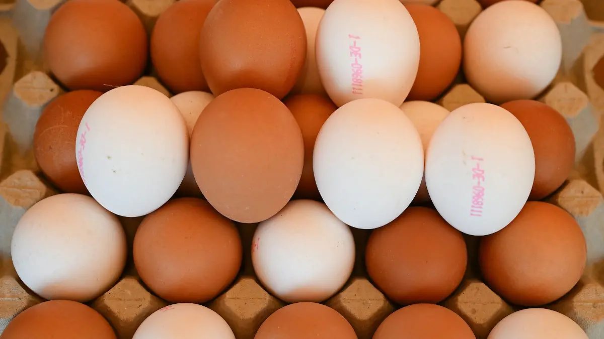 Ein unbekannter Eierdieb stiehlt aus einem Hofladen in Bad Laer rund 400 Hühnereier - was macht er nur damit? (Symbolbild)