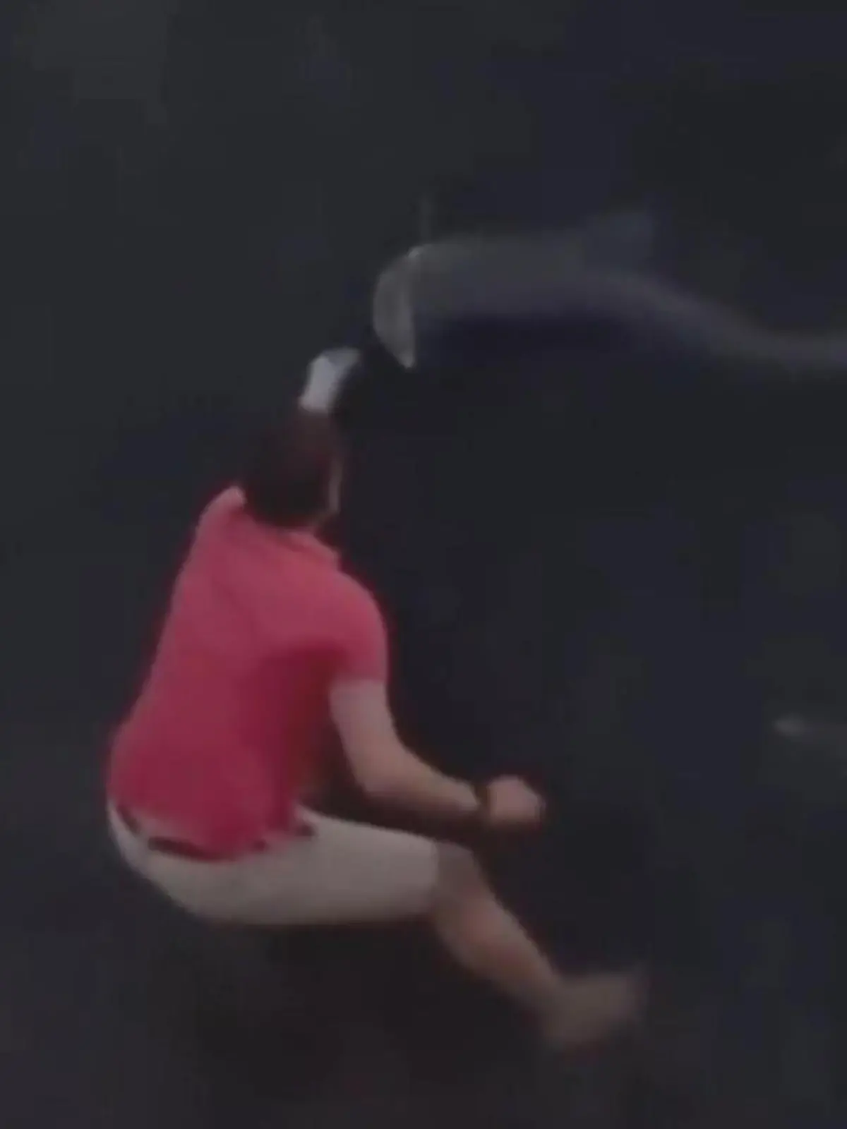 Bild zu: "Spektakel an der Seine! Angler ringt mit Monster-Wels"