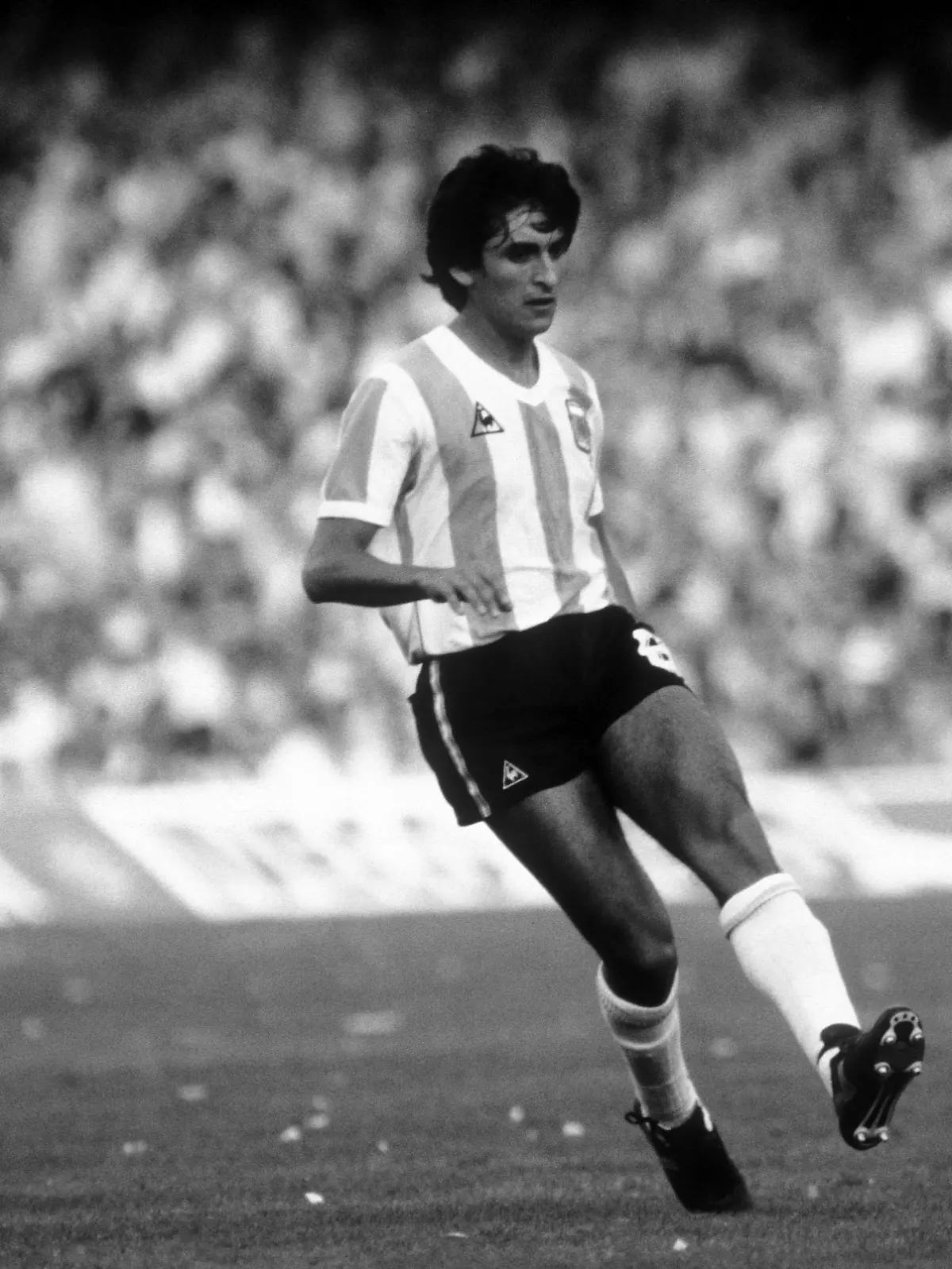 Luis Galvan