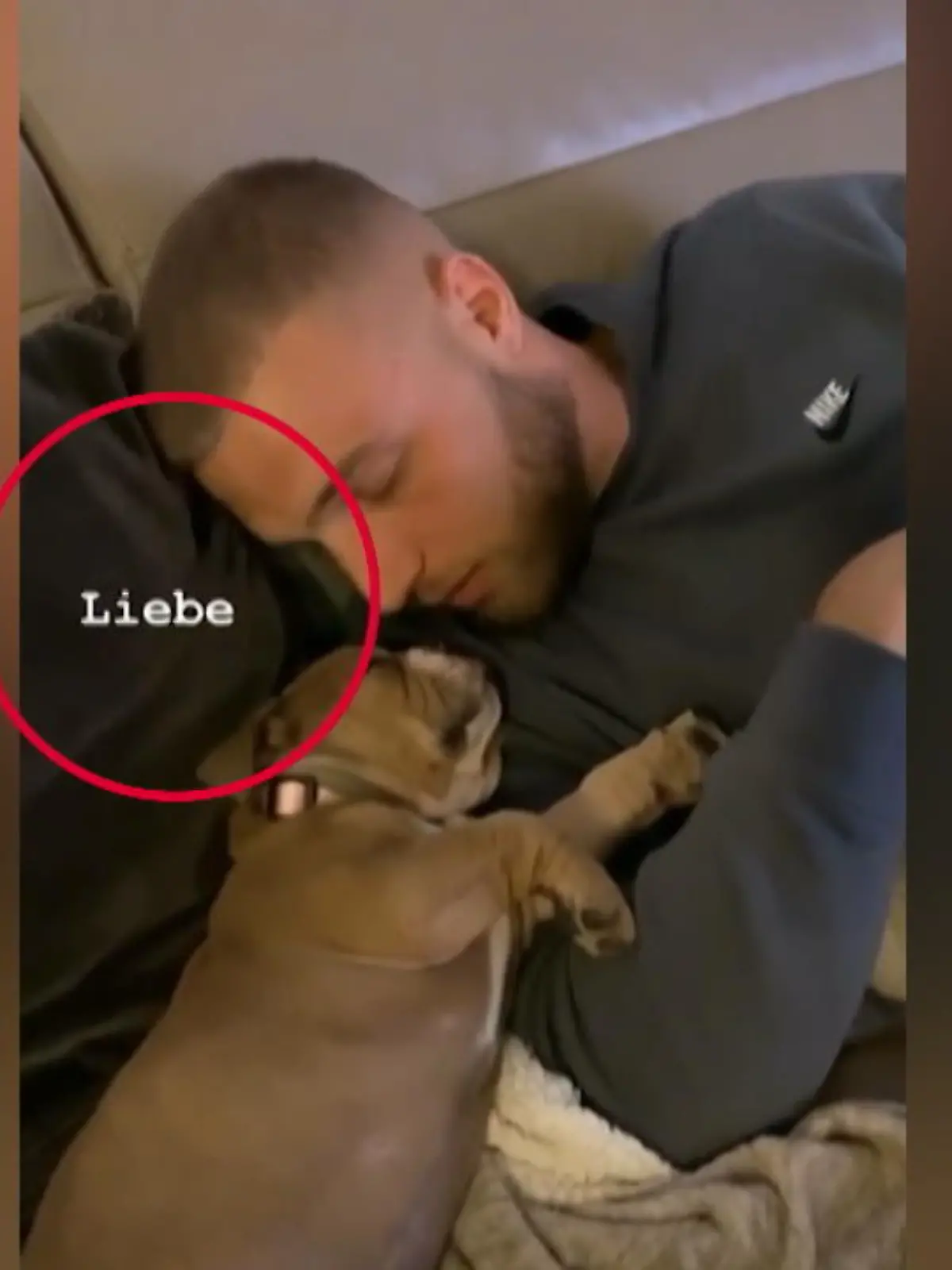 Bild zu: "Geht da was bei Yeliz Koc und Filip Pavlovic?"