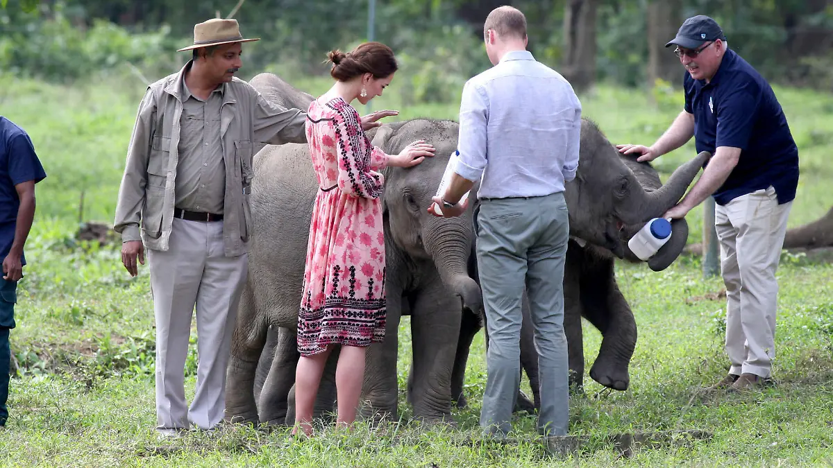 Prinz William und Herzogin Catherine füttern Elefantenwaisen in Guwahati, Indien. Den organisatorischen Teil der Reise übernahm damals Hannah Cockburn-Logie, die jetzt Kates persönliche Assistentin ist.