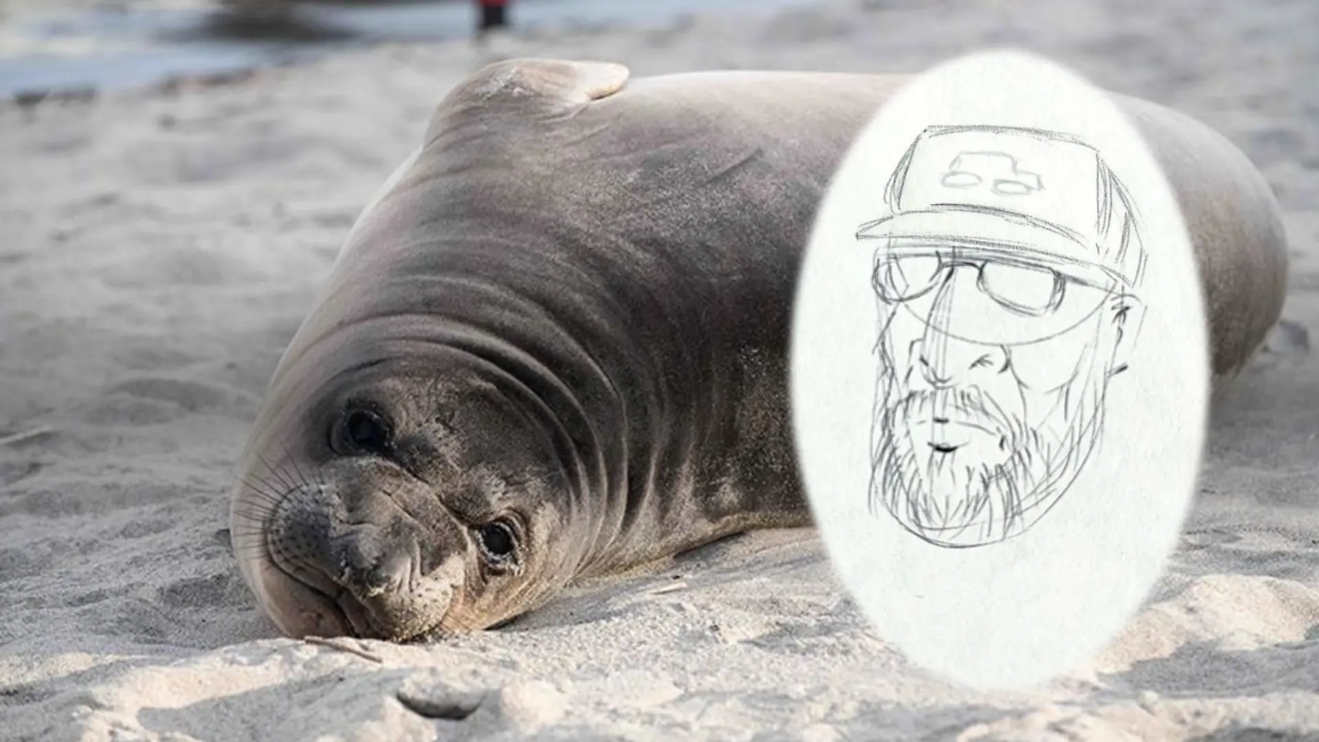 Der Mann wird mithilfe eines Phantombildes gesucht.