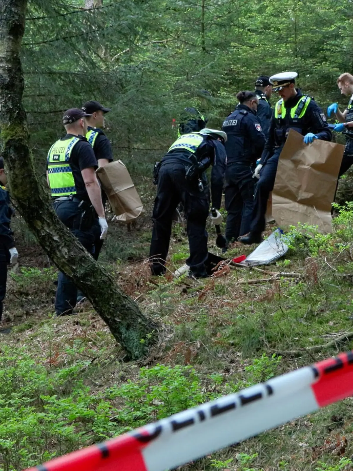 Bild zu: "Spaziergänger finden Knochen im Wald"