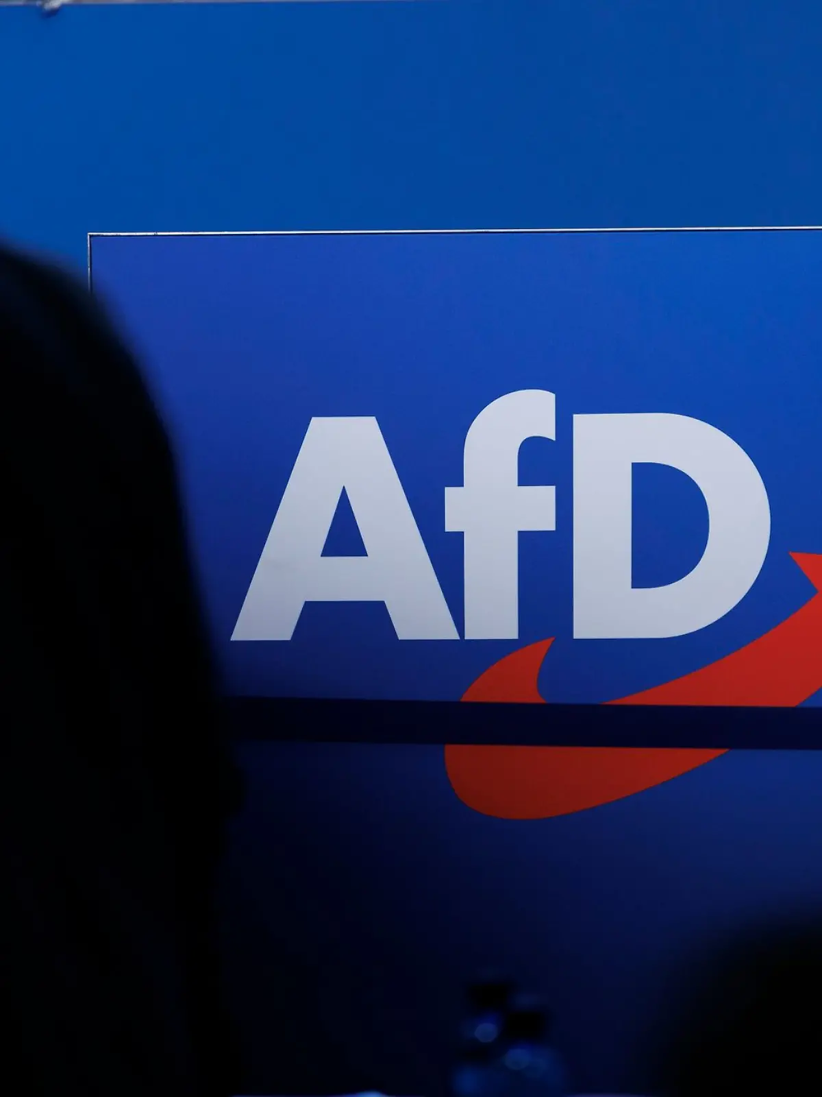 Bild zu: "Verfassungsschutz setzt AfD-Einstufung vorerst aus"
