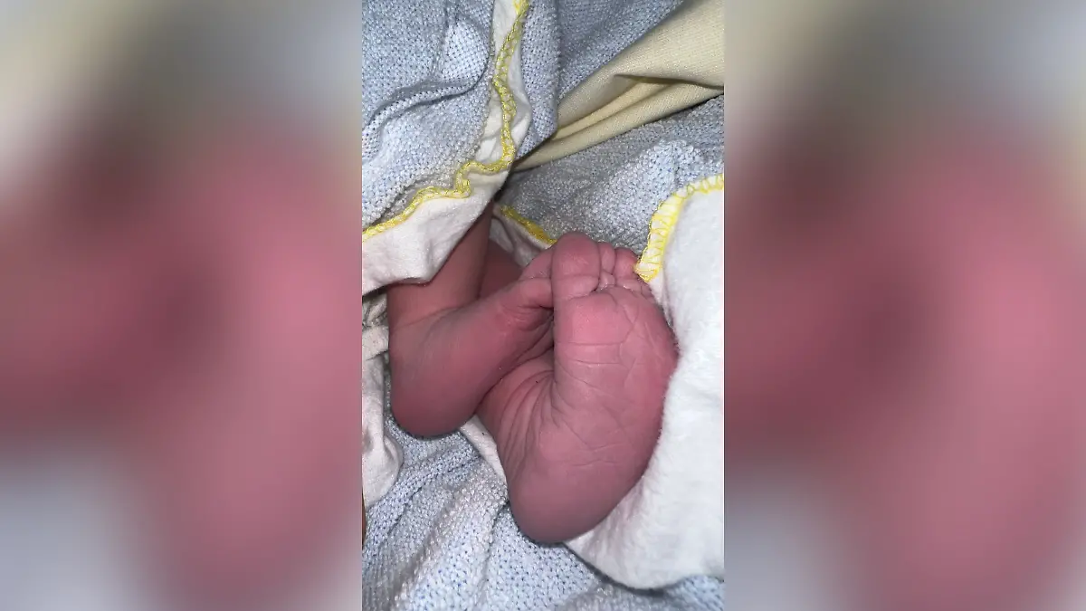 Felix van Deventer ist zum zweiten Mal Papa geworden.