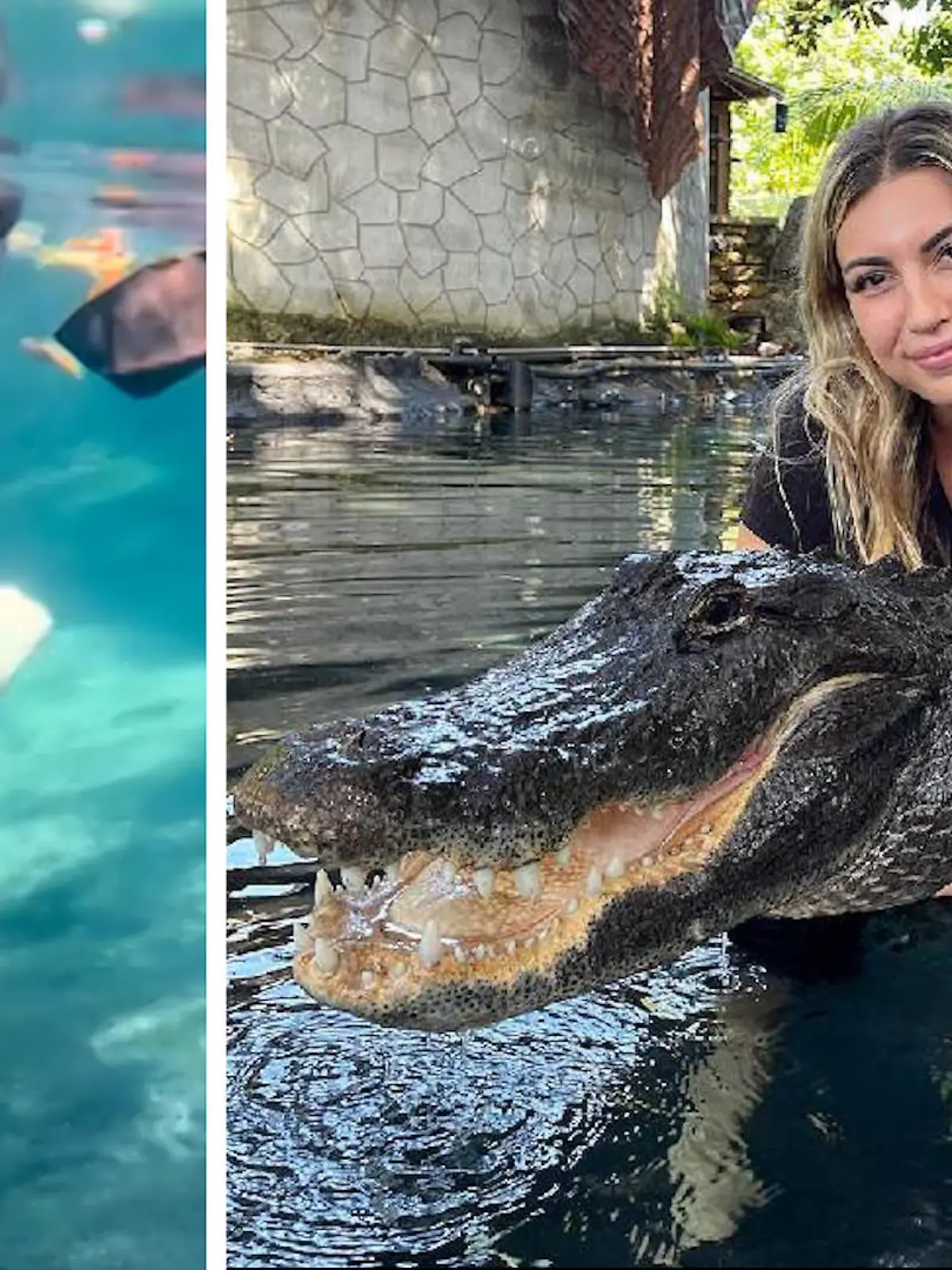 Diese Bilder lassen einem dem Atem stocken. Denn hier in Florida plantscht eine Frau einfach mal so mit einem riesigen Alligator. Angst- Fehlanzeige. Aber mit den Aufnahmen will die Blondine nicht nur Follower generieren., sondern hat ein Anliegen. Was genau und wie es aussieht, wenn das ungleiche Duo abtaucht, sehen Sie im Video.