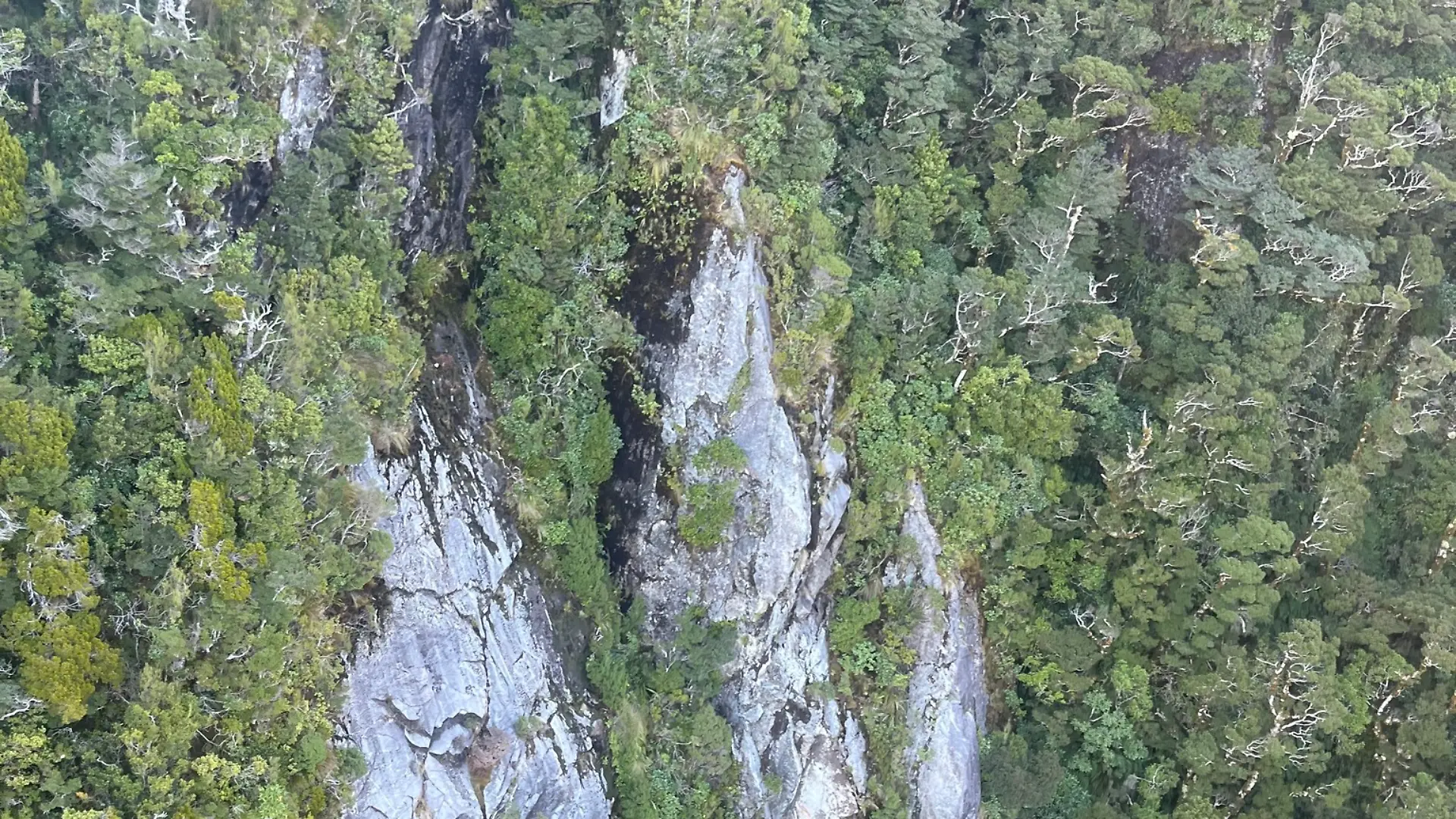 Suche nach vermisstem Wanderer in Neuseeland