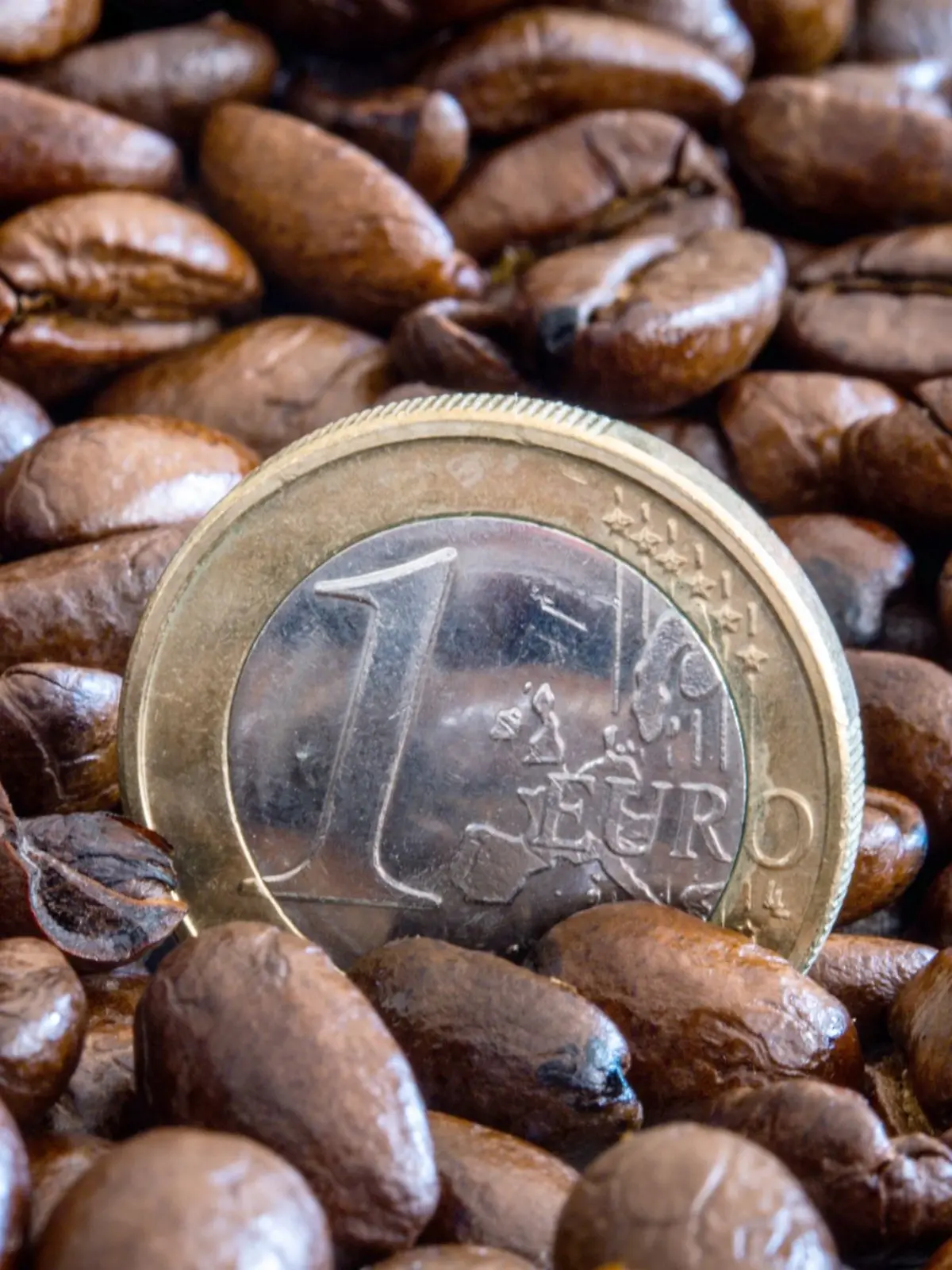 Fünf günstige Parfüms, die teuer riechen – Luxus-Düfte zum kleinen Preis!