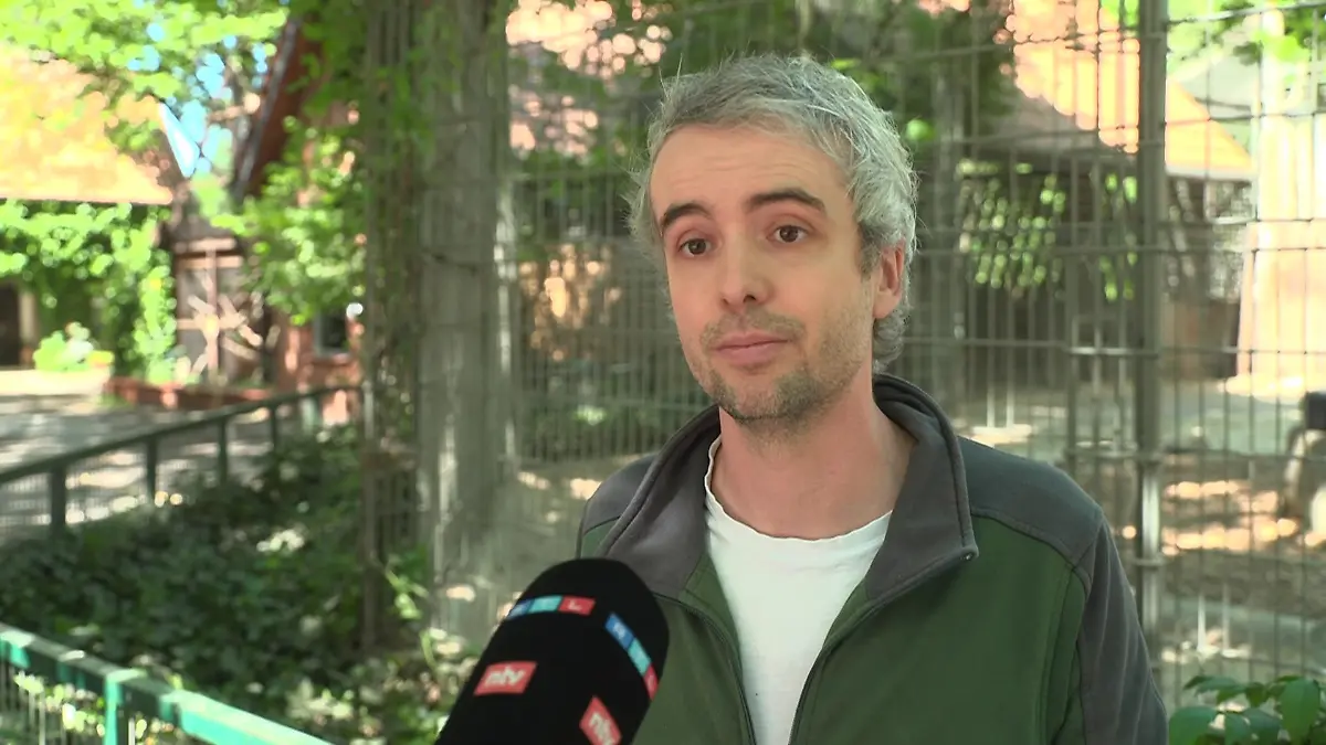 Christof Nadermann vertrieb mit seinen Kollegen den Tiger.
