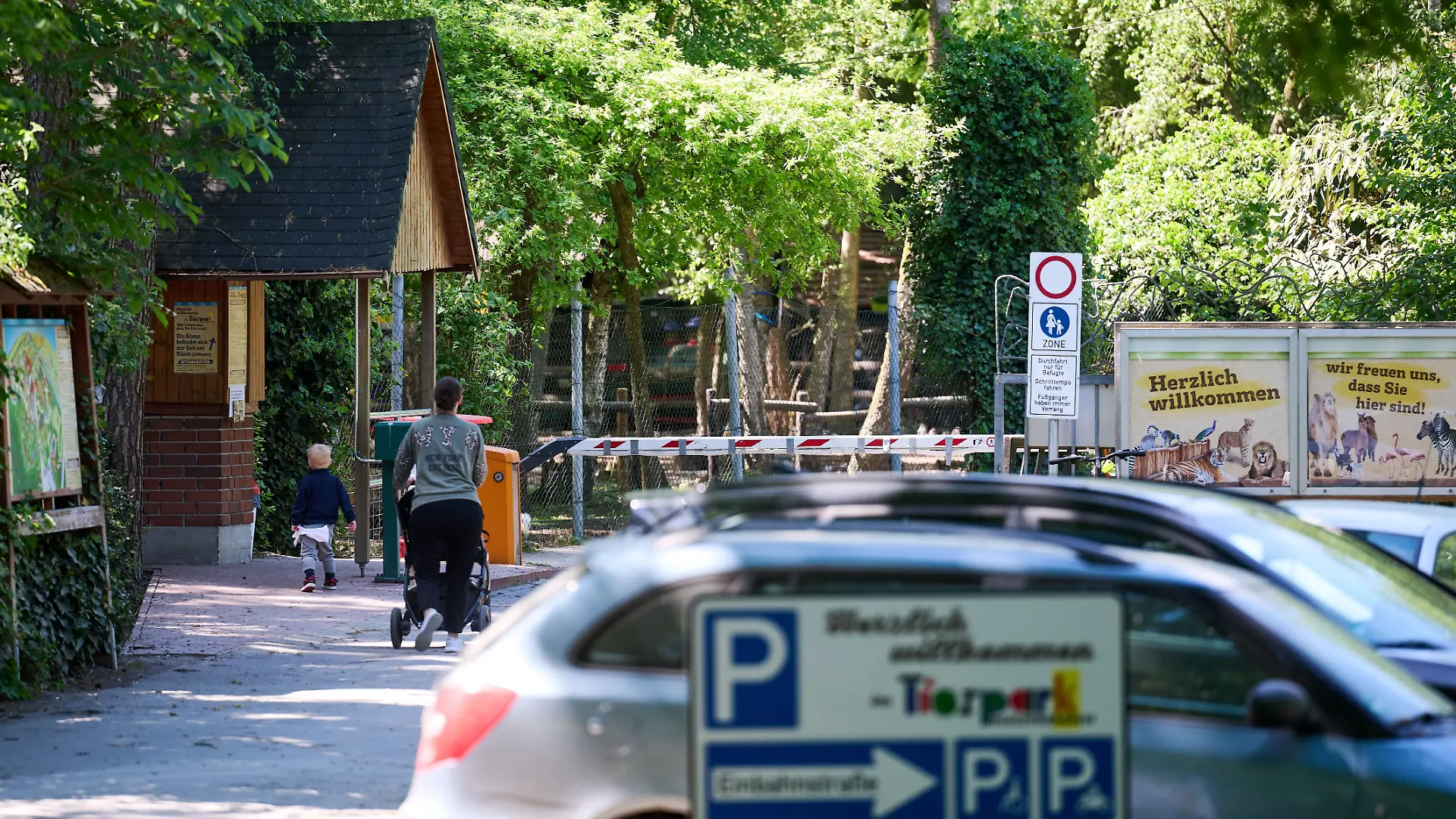 Eine Pflegerin ist von einem Tiger gebissen worden. Sie konnte selbständig das Gehege verlassen und wurde in ein Krankenhaus gebracht.