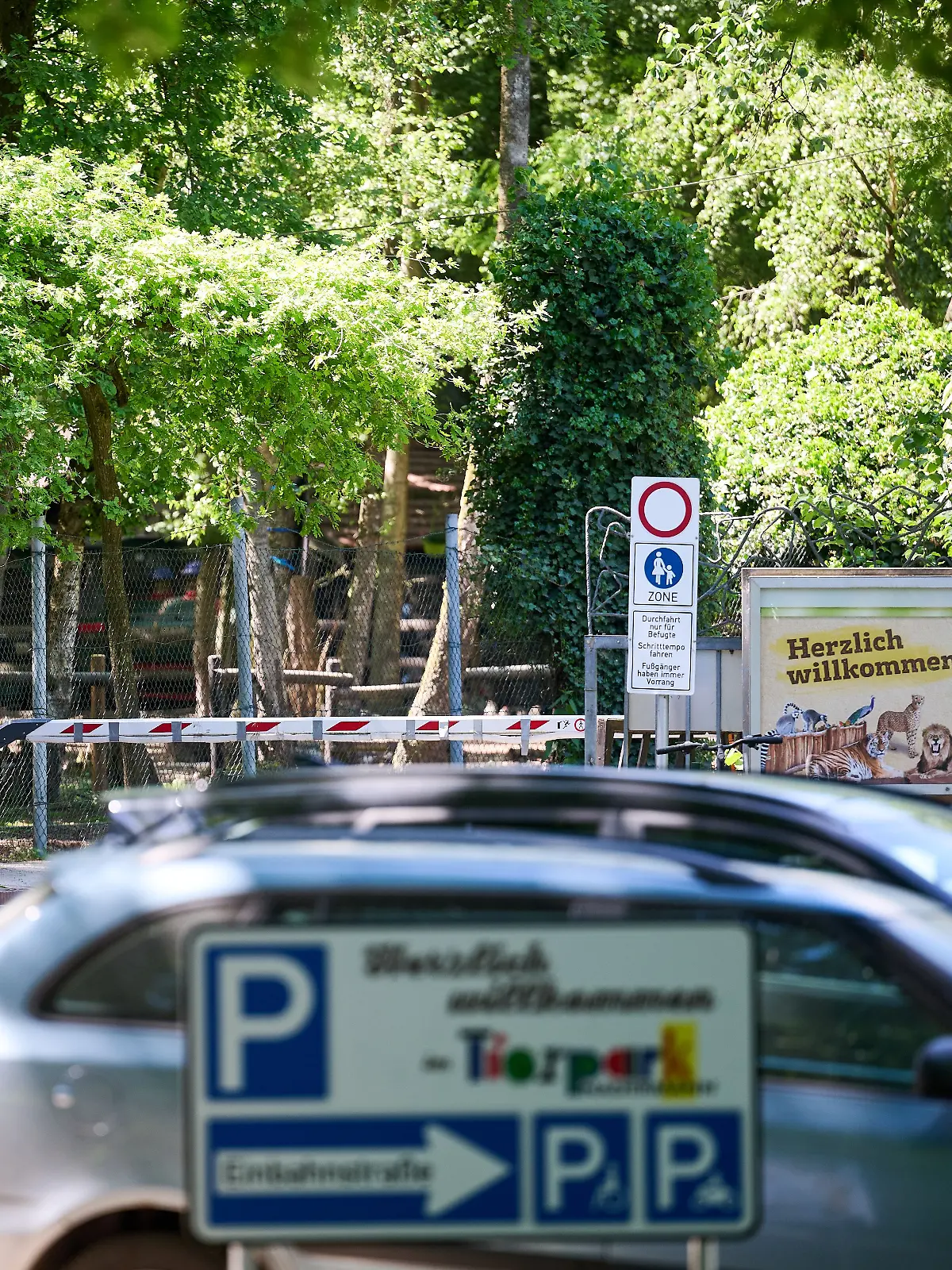 Eine Pflegerin ist von einem Tiger gebissen worden. Sie konnte selbständig das Gehege verlassen und wurde in ein Krankenhaus gebracht.