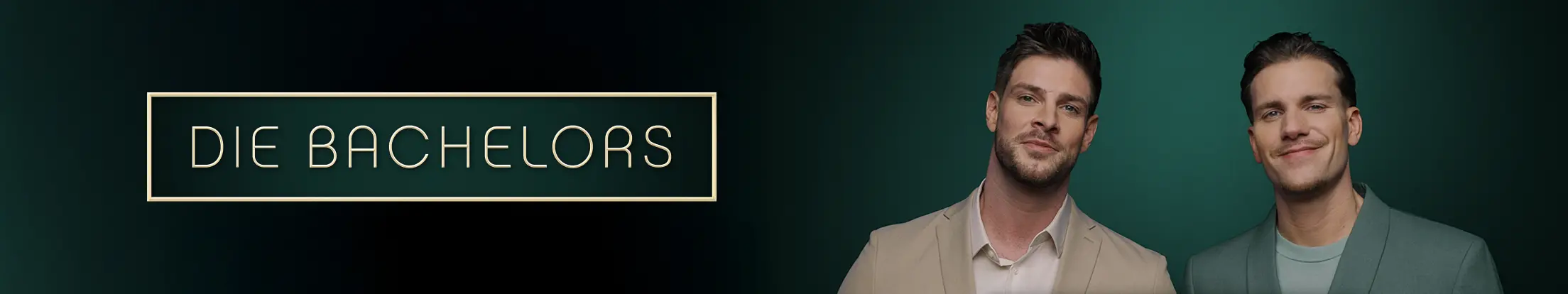 Die Bachelors Banner Desktop