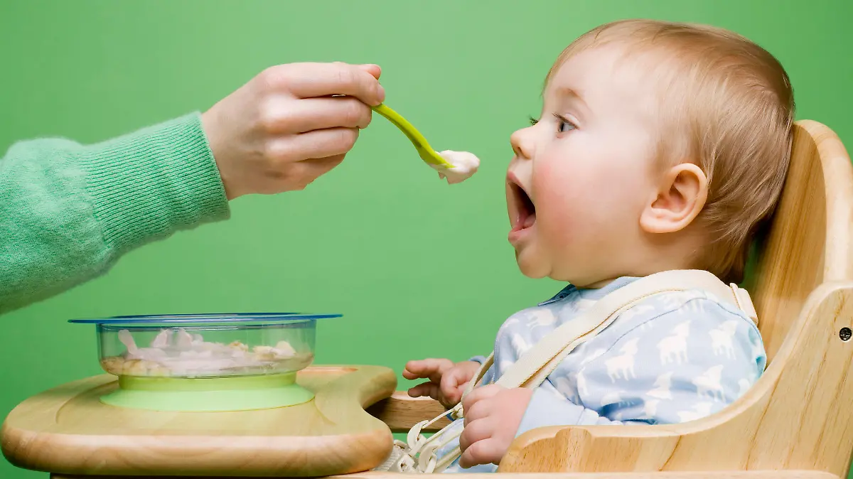Babynahrungszubereiter.