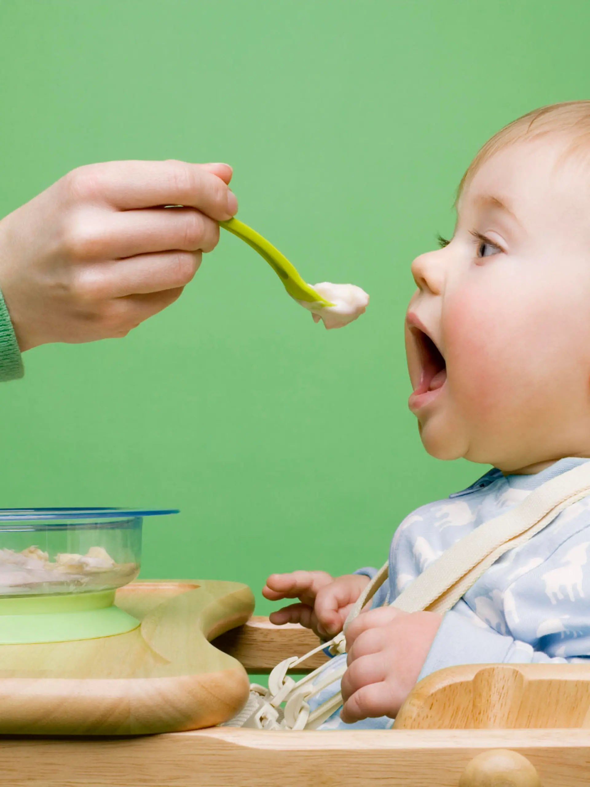 Babynahrungszubereiter.