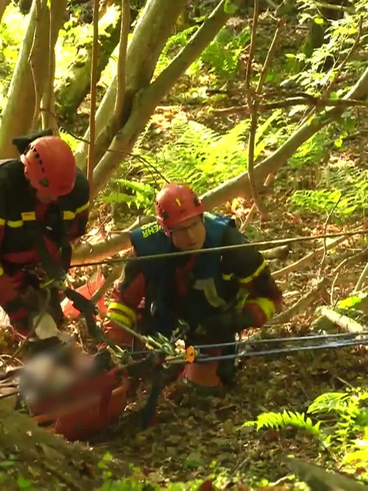 Bild zu: "Schaukel-Unfall am Silbersee"