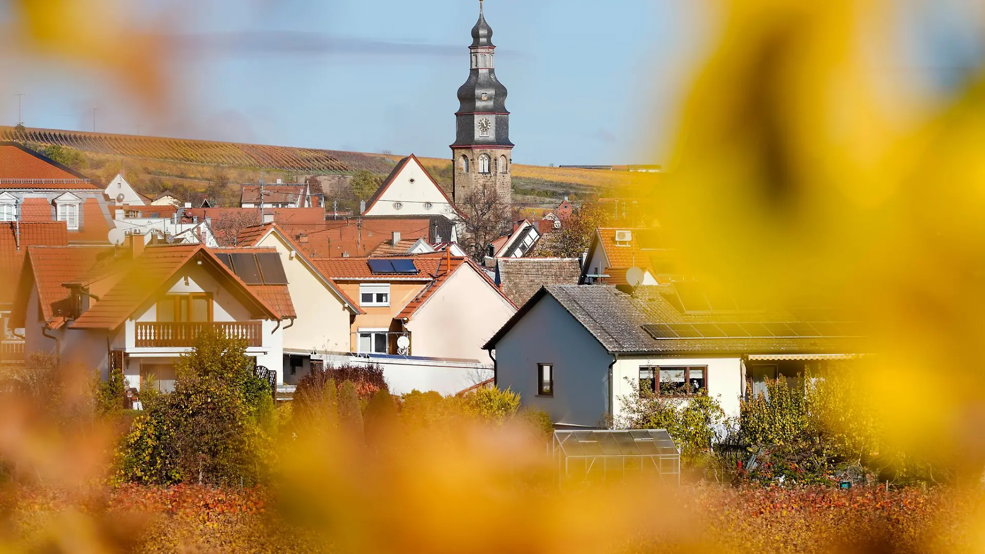 Der kleine Winzerort Kallstadt an der Weinstraße ist der Heimatort von Trumps Vorfahren. (Archivbild)