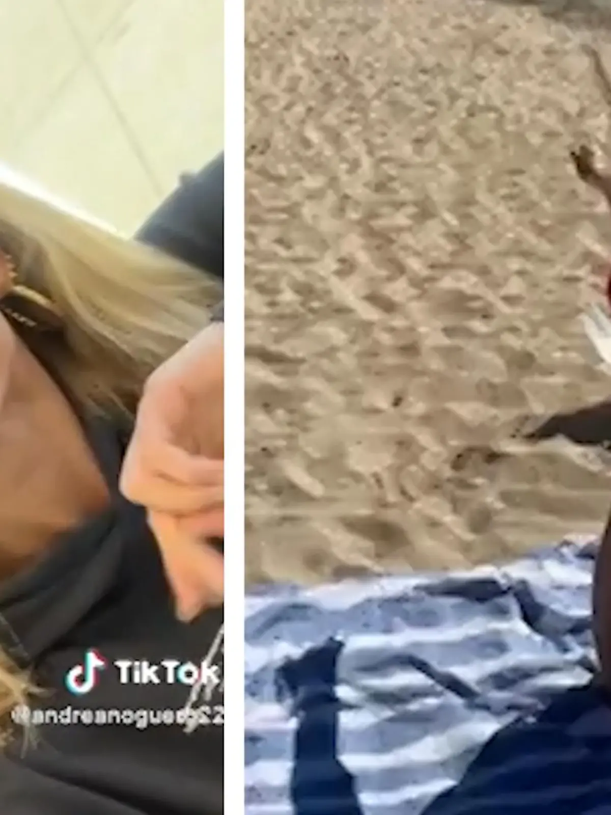 Ein Tag am Strand - was gibt es schöneres? Das dachten sich auch zwei TikTokerinnen und stiegen kurzerhand ins Flugzeug nach Mallorca - nur um am gleichen Abend nach ein paar Stunden am Strand wieder zurückzufliegen.