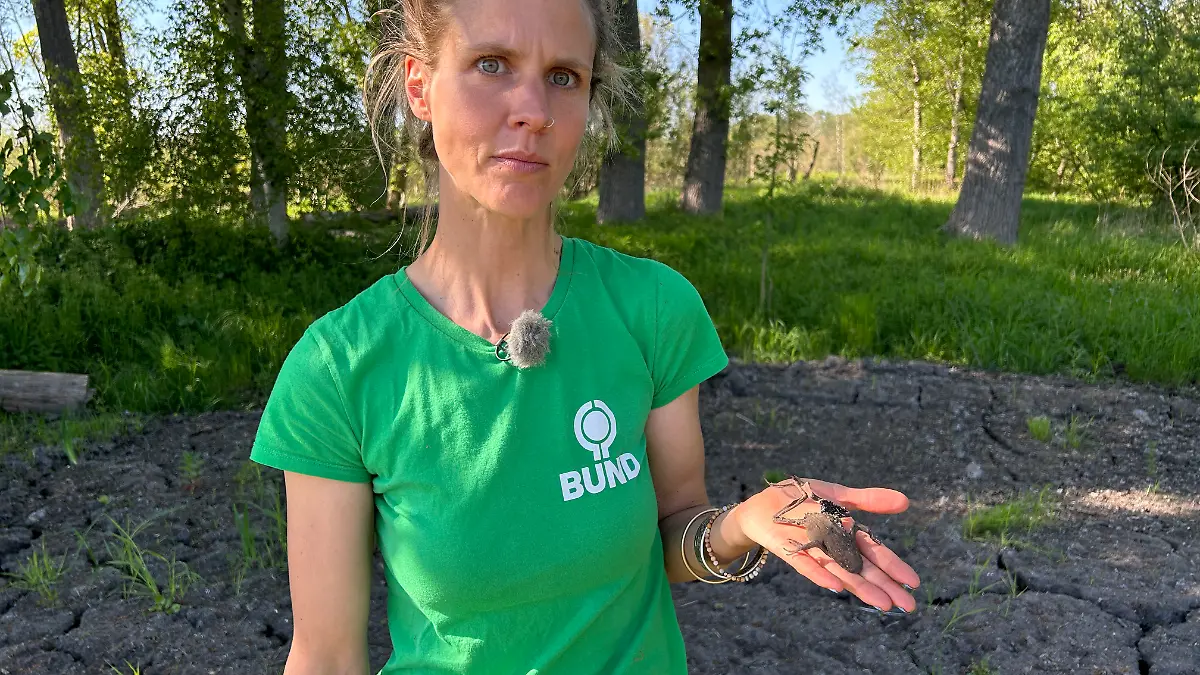 Lisa-Mia Schaich vom BUND bietet regelmäßig Wanderungen durchs Moor an, um auf ihre Wichtigkeit aufmersam zu machen. 