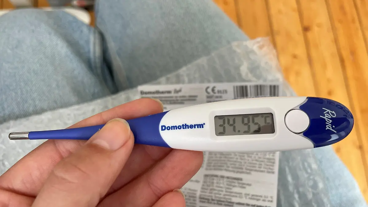 Domotherm Fieberthermometer.jpg
