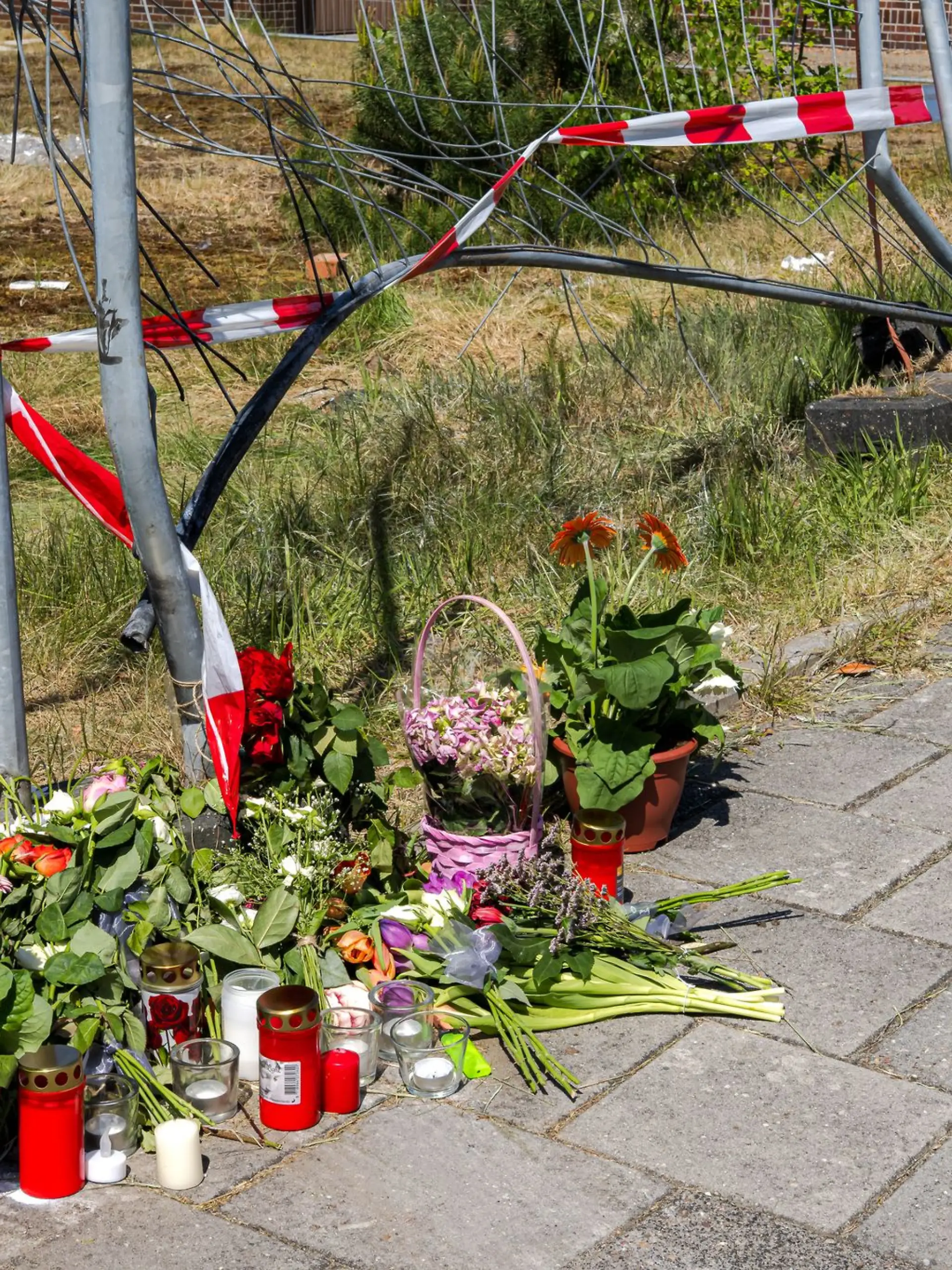 Bild zu: "Wahnsinnstat trotz Annäherungsverbot! Sieben Kinder wachsen jetzt ohne Mutter auf!"