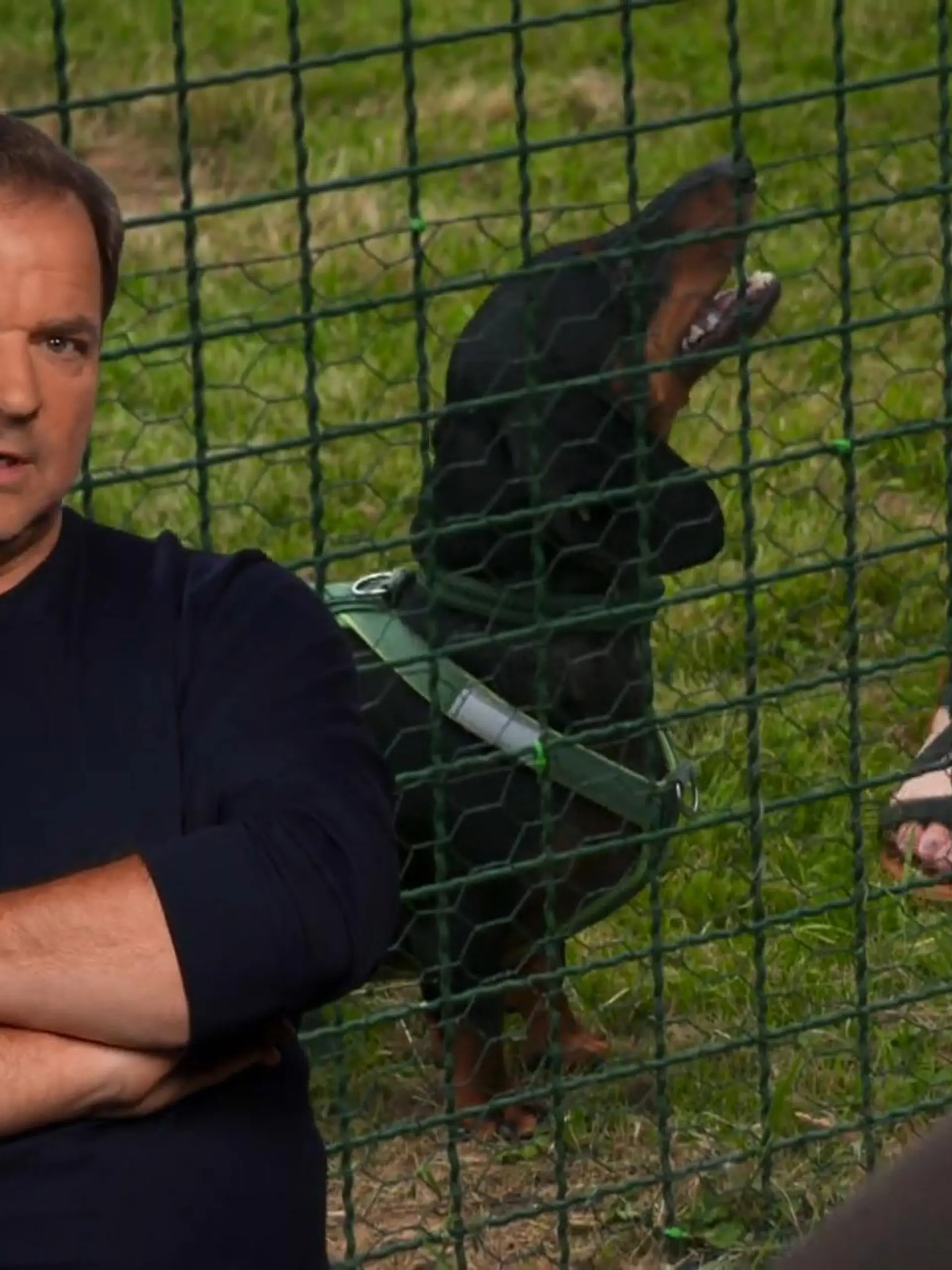 Bild zu: "Dackel Nemo macht draußen Randale. Aggressiv pöbelt er fremde Hunde an"