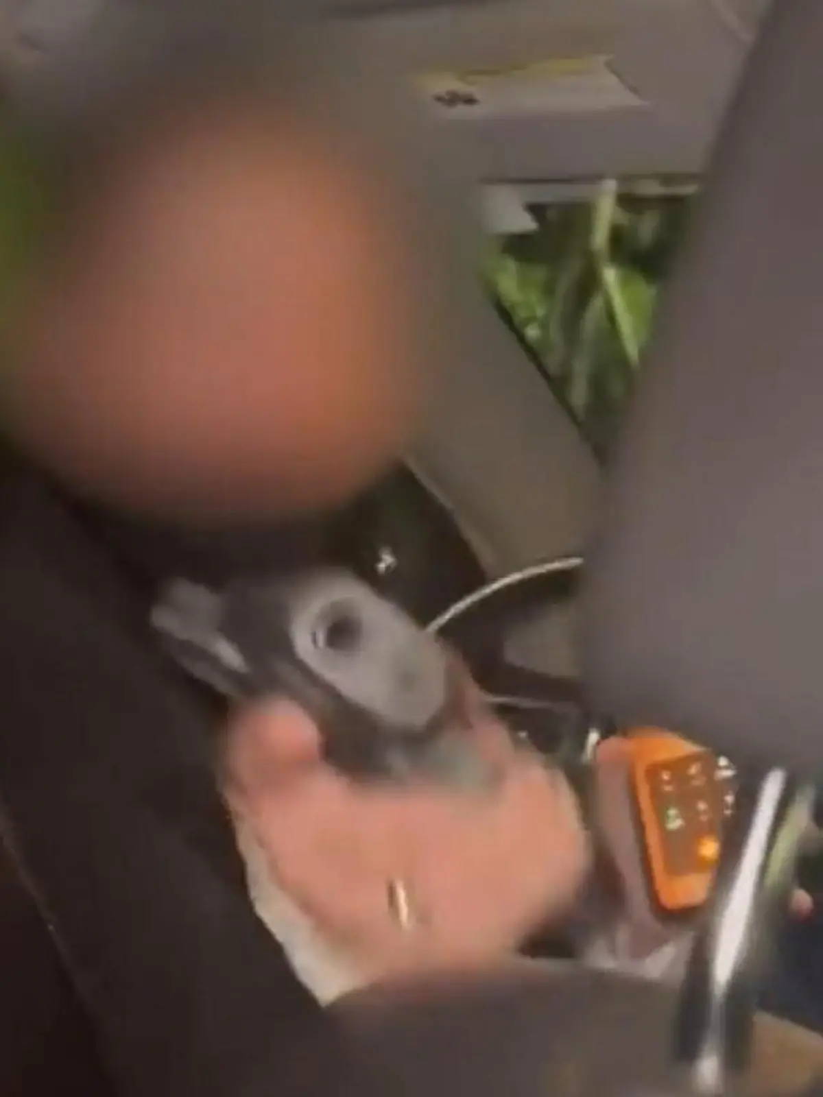 Bild zu: "Fahrgast will helfen – dann greift Uber-Fahrerin zur Knarre"