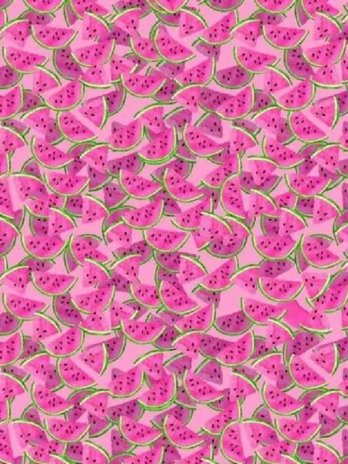 Suchbild Melonen