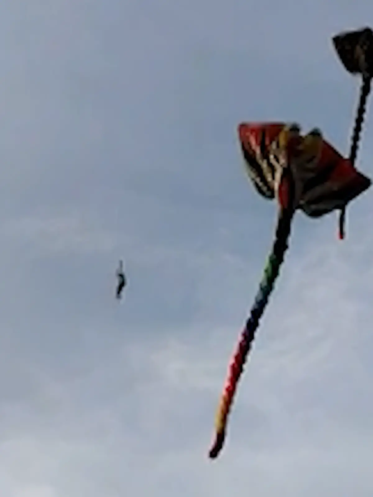 Eine Person der Flugshow musste für eine Rettungsmission abheben. 