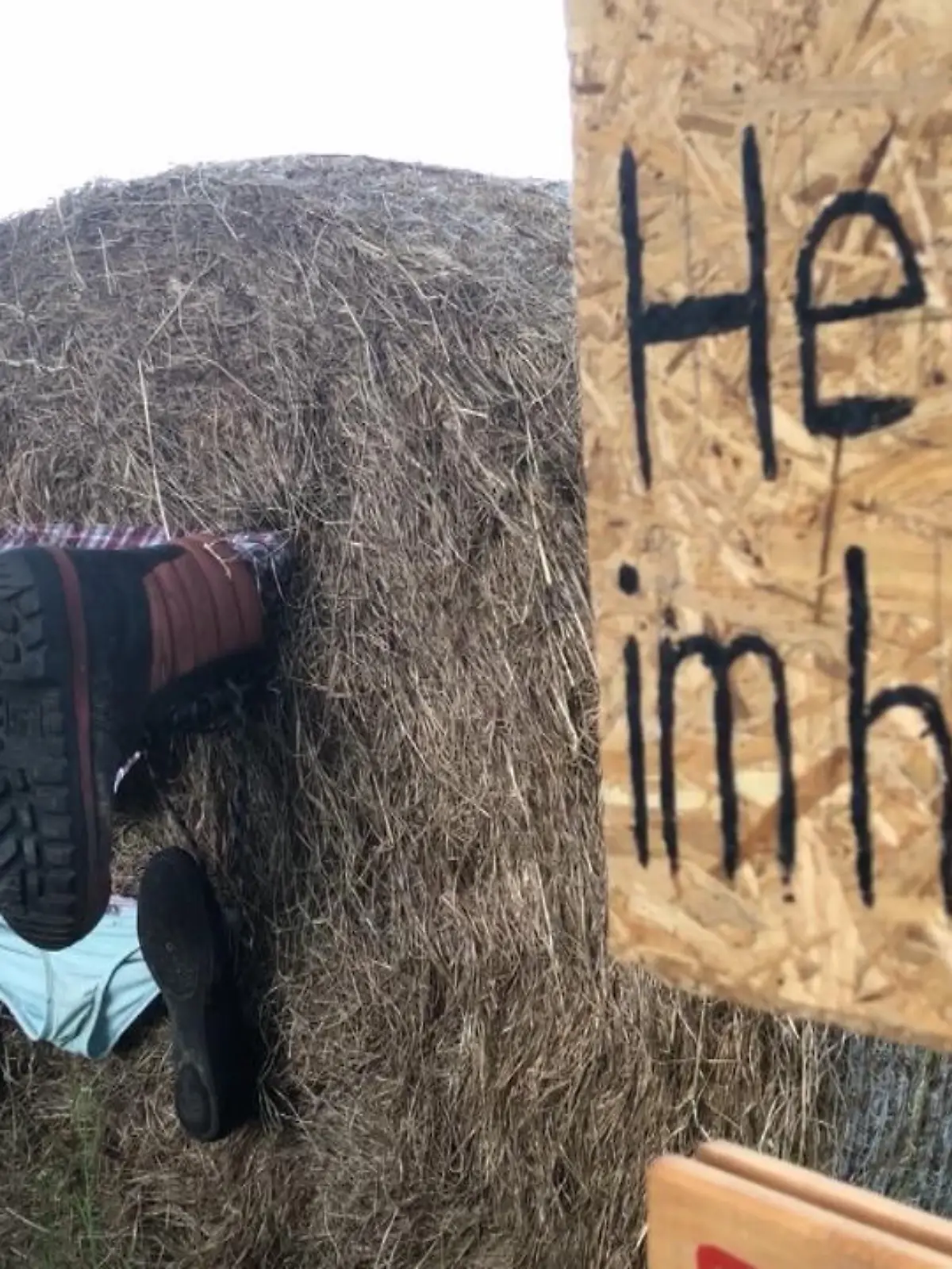 Bild zu: "Darum verbietet ein Bauer Sex im Feld"