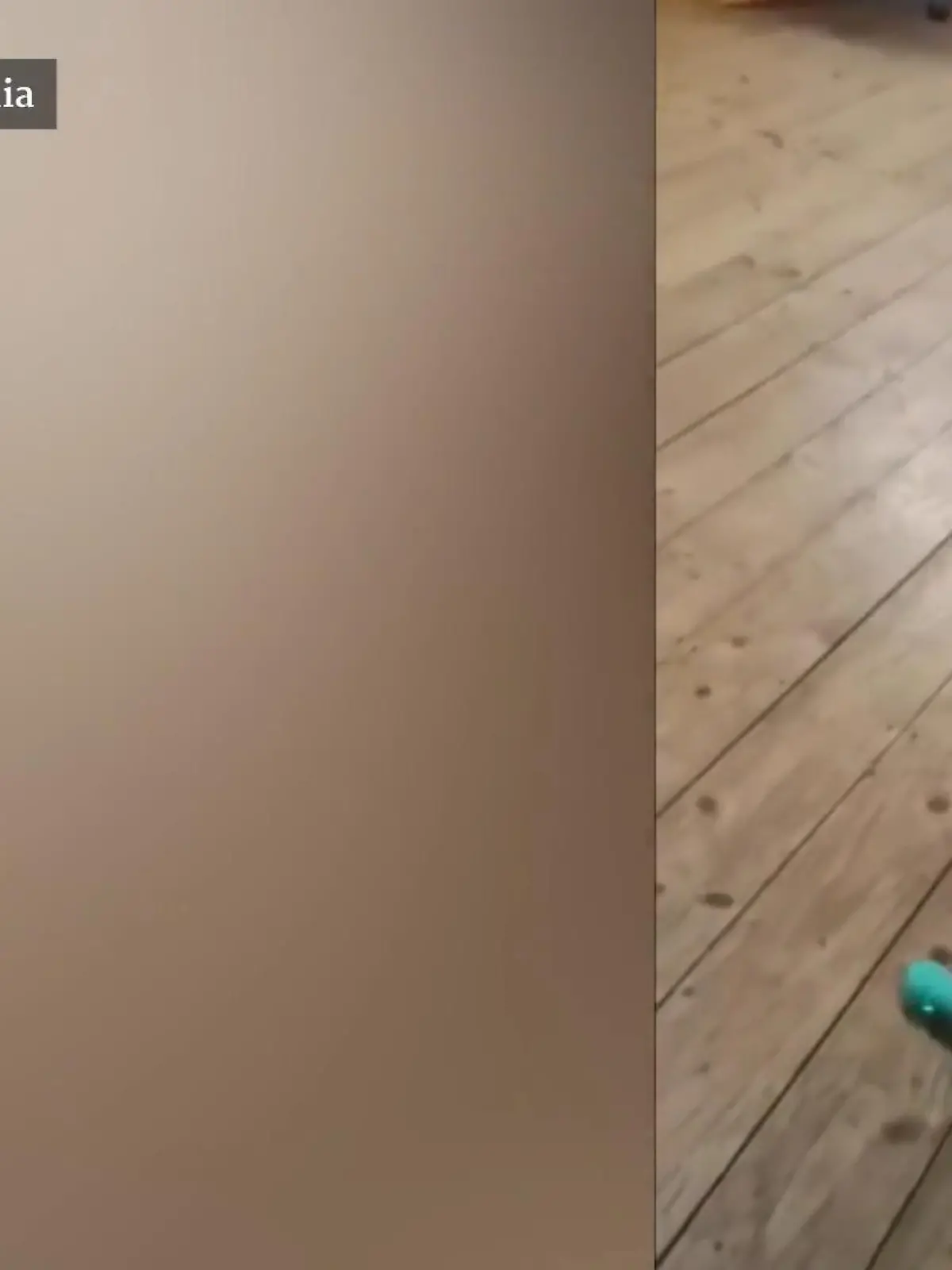 Als Chloe aus England ihren neuen Vibrator testen will, rasten ihre beiden Hunde komplett aus und spielen mit dem Gerät, das eigentlich für ihr Frauchen gedacht war. Nun ist der Dildo eher Dog Toy statt Sex Toy.