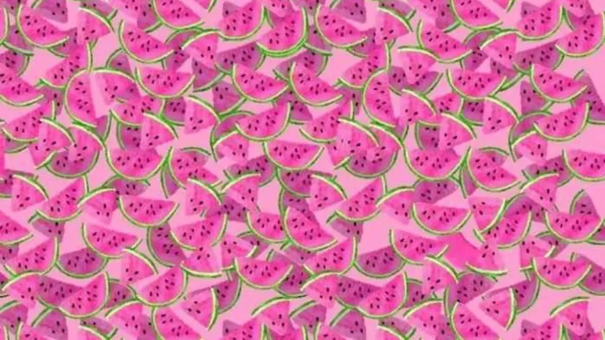 Melonen-Suchbild