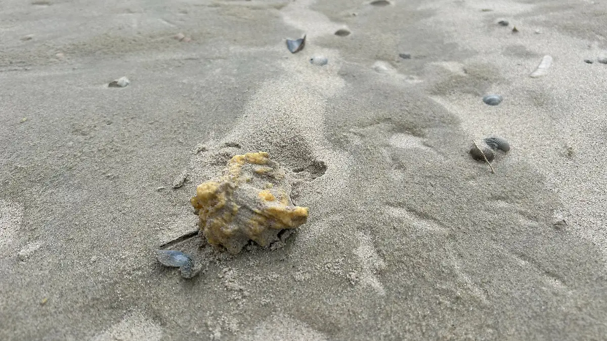 Paraffin Anspülung am Juister Strand Mai 2025 (1).jpeg