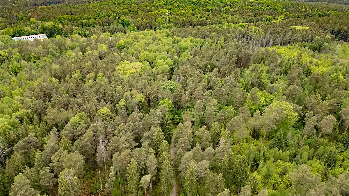 Die Laußnitzer Heide wird in der warmen Jahreszeit regelmäßig zu einem Party-Ort. (Archivbild)