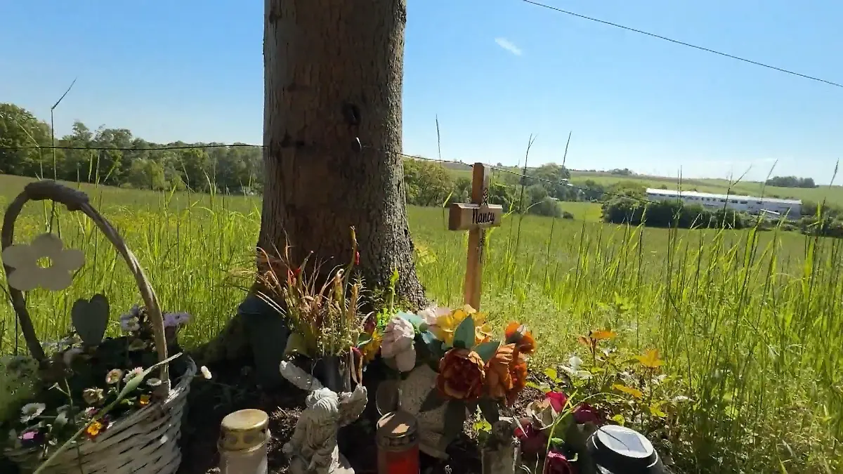 Die 42-Jährige wurde gegen diesen Baum geschleudert.