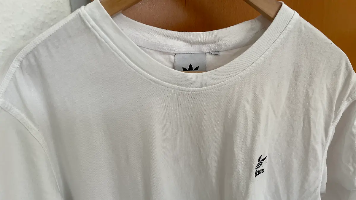 TShirt Steamer.jpg
