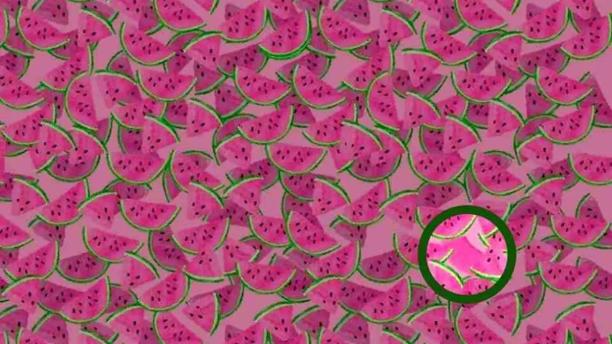 Melonen-Suchbild