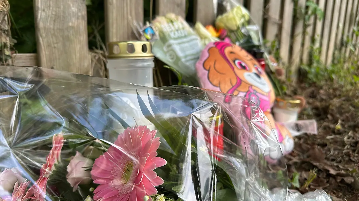 Am Gartenzaun haben Nachbarn Blumen für Einjährige abgelegt.
