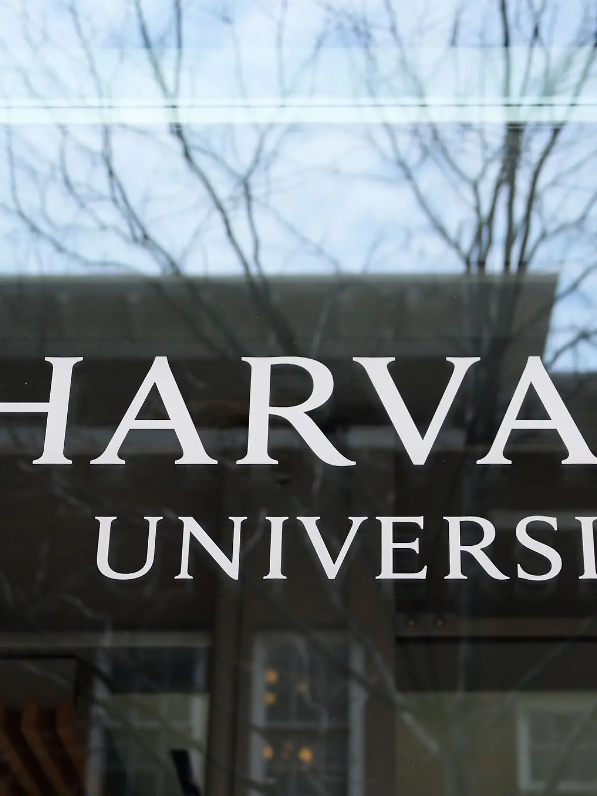 Bild zu: "Donald Trump greift hart durch – und straft Elite-Uni Harvard ab"