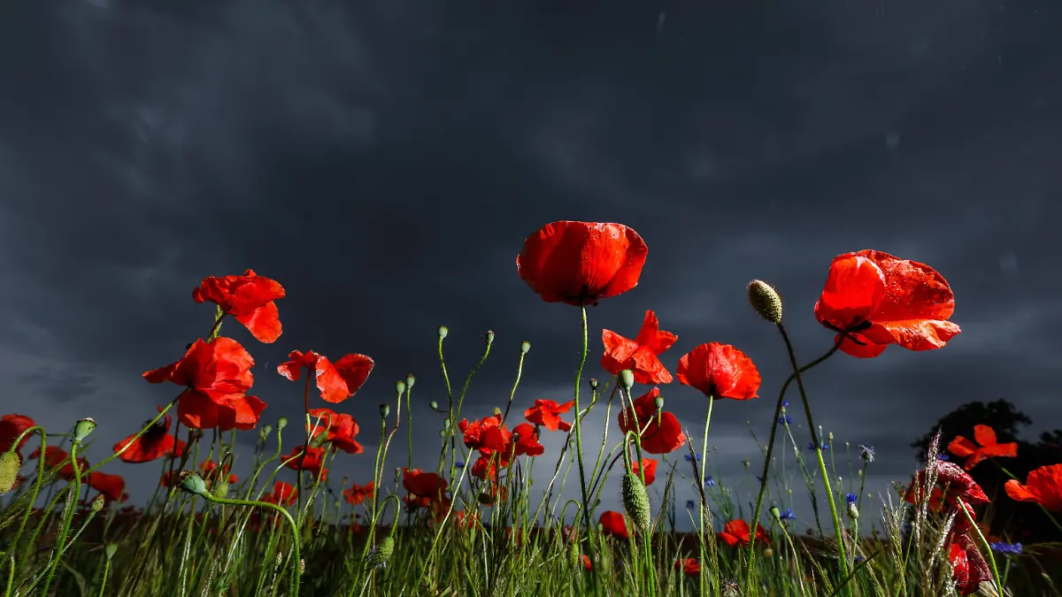 News Themen der Woche KW22 News Bilder des Tages Regenwetter und Unwettergefahr DEU/Deutschland/Brandenburg/Leuthen, 30.