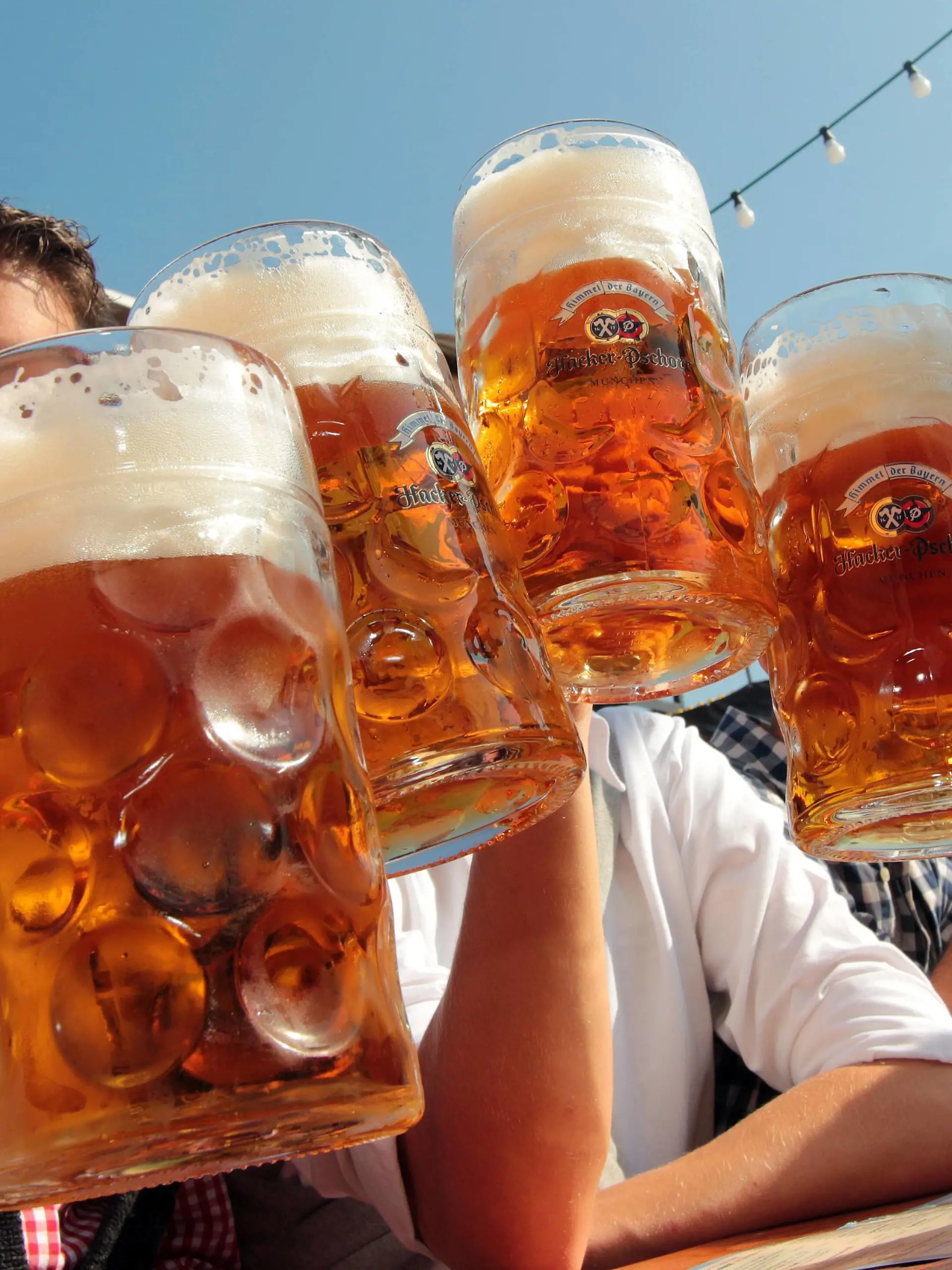 Oktoberfest München: das Festzelt Hacker Pschorr der Himmel der Bayern im Biergarten bei schönstem Sonnenschein: Gäste beim gemeinsamen Zuprosten mit einer Maß Bier, München, Bayern, Deutschland

Oktoberfest Munich the The tent Hacker Pschorr the Heaven the Bavaria in Beer garden at most beautiful Sunshine Guests the common Zuprosten with a Mass Beer Munich Bavaria Germany  