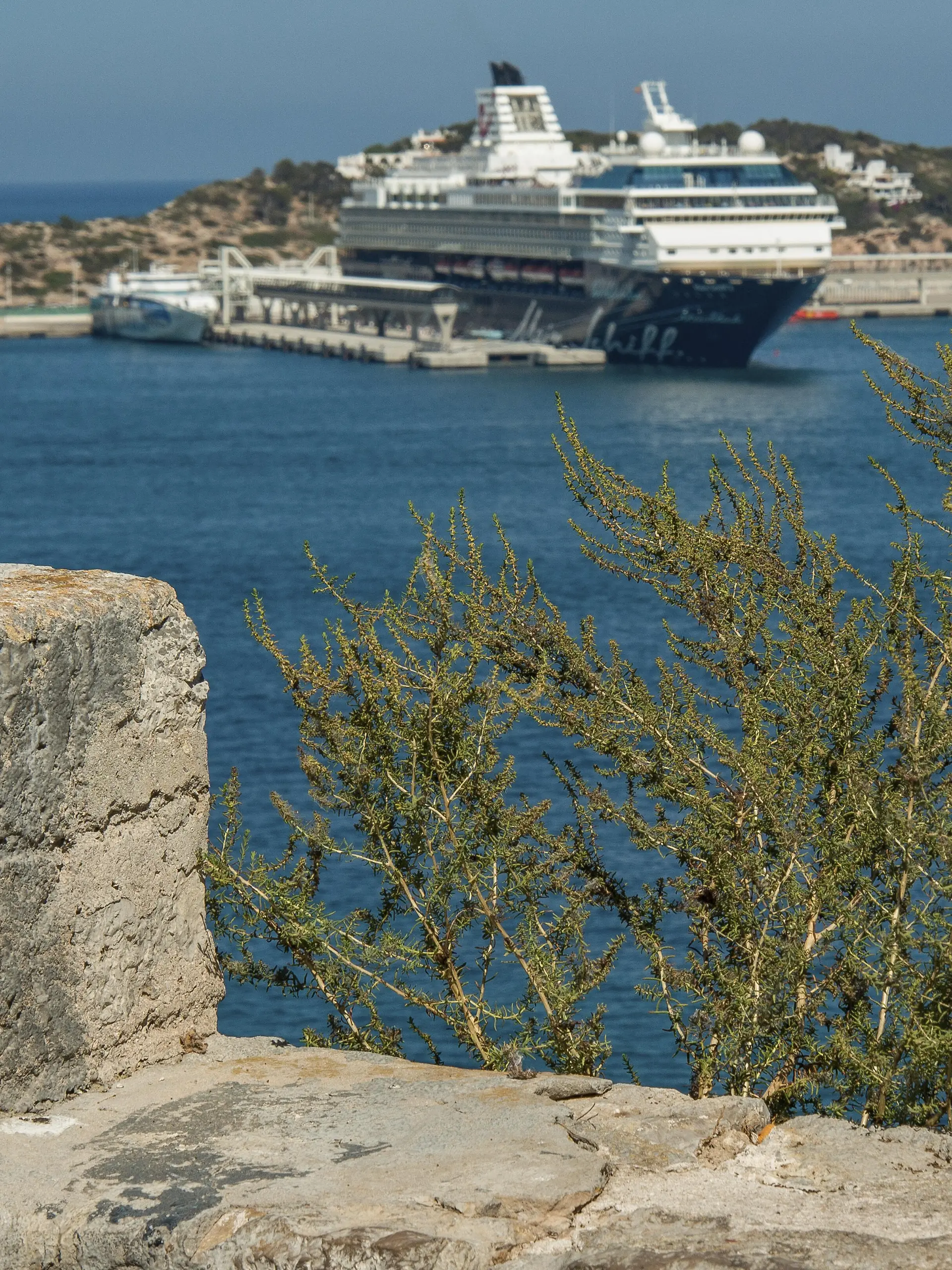 Kreuzfahrtschiff vor Ibiza (Symbolfoto) 
