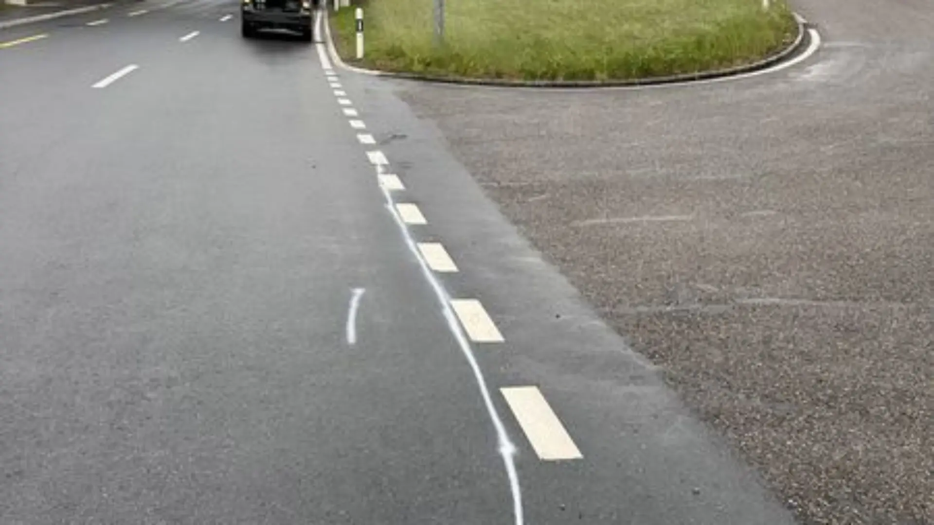 Die Radfahrerin kreuze den Weg einer Katze. Beide wurden tödlich verletzt.