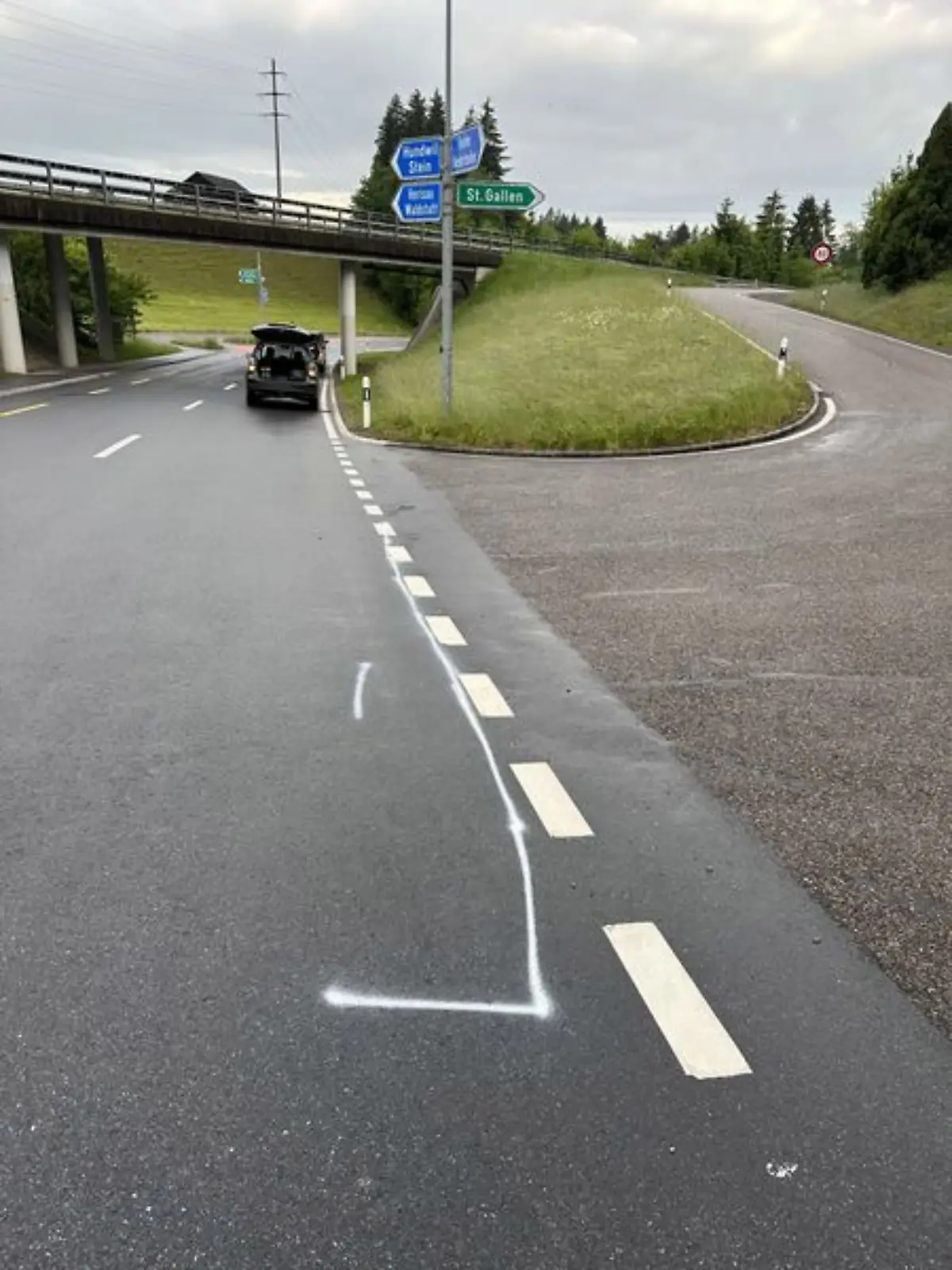 Die Radfahrerin kreuze den Weg einer Katze. Beide wurden tödlich verletzt.