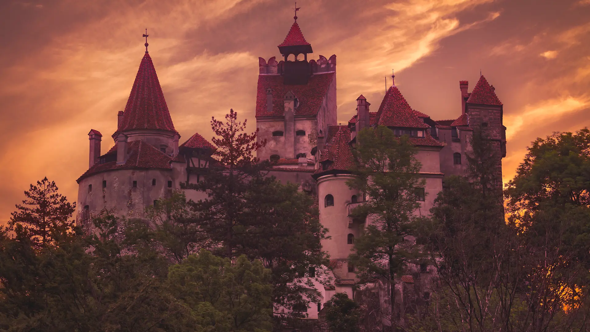 Dracula wartet im Schloss Bran schon auf euch!