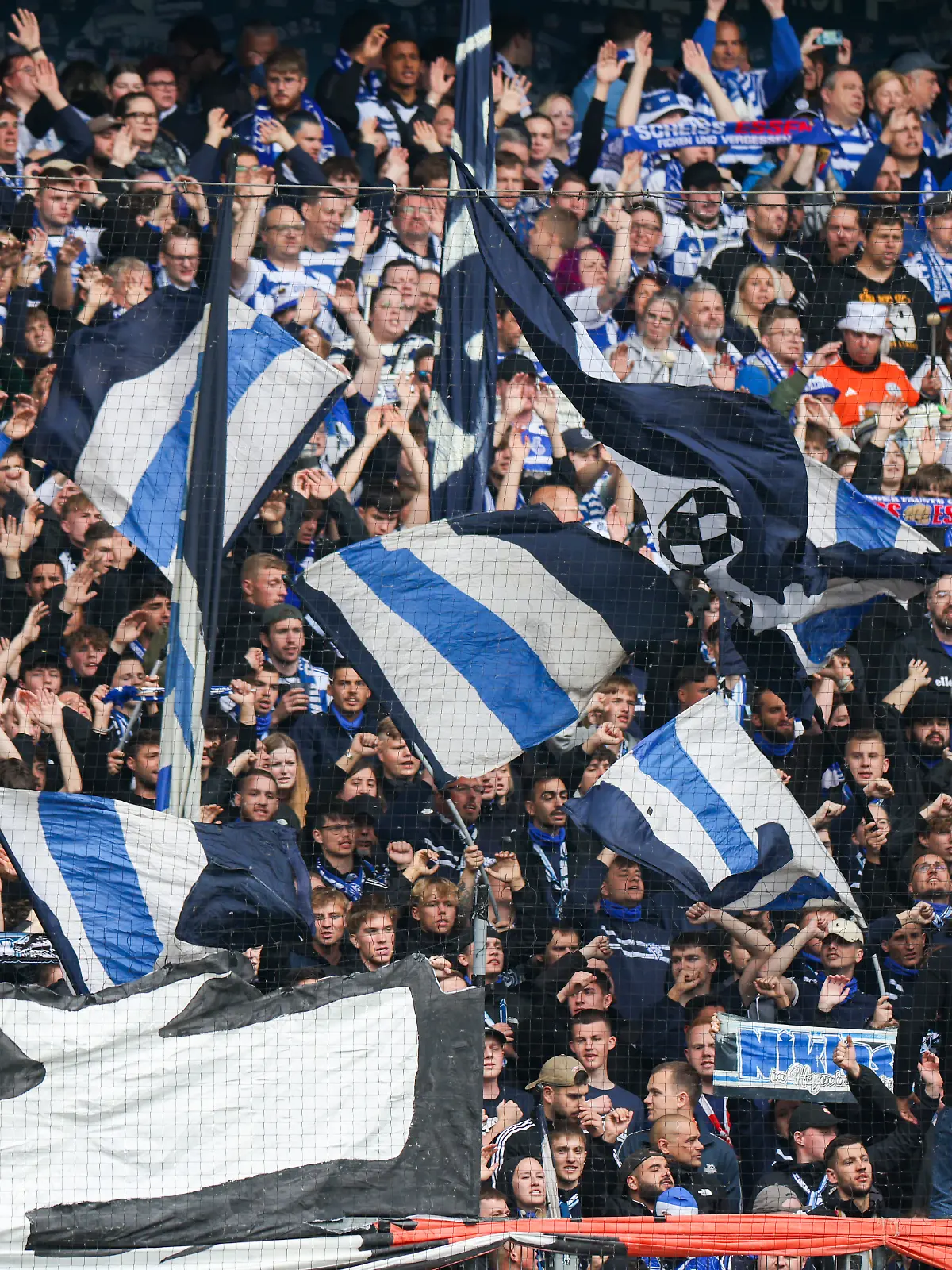Fans des MSV Duisburg.