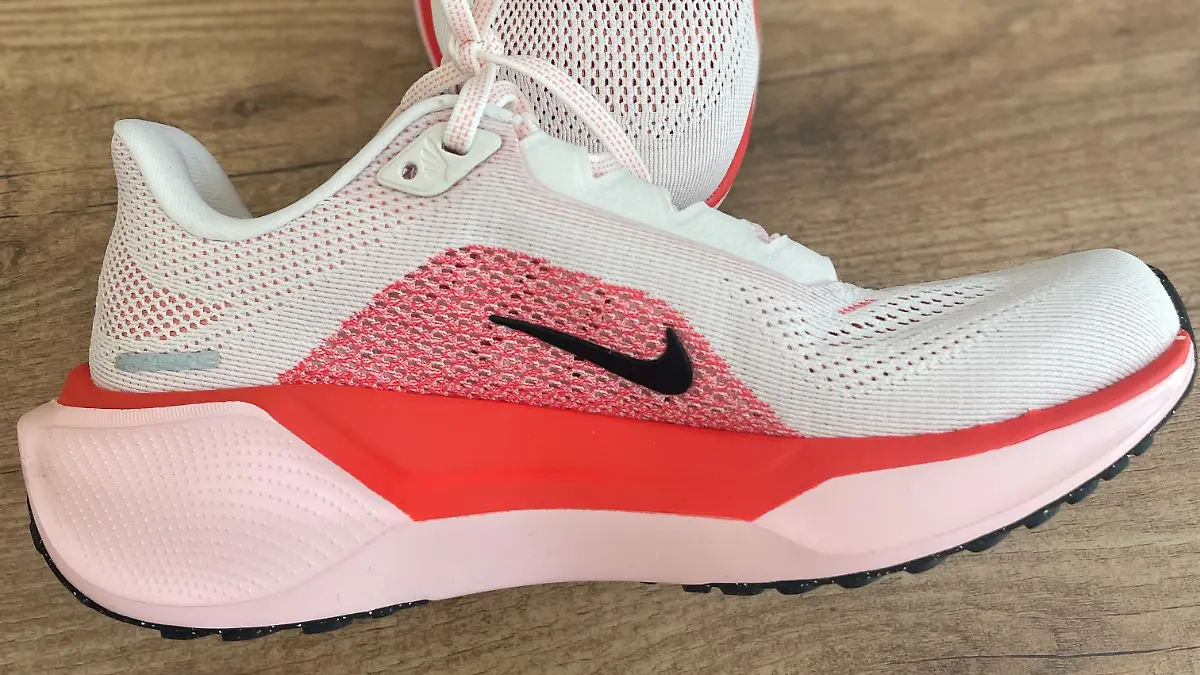 Der Laufschuh Nike Air Pegasus 41