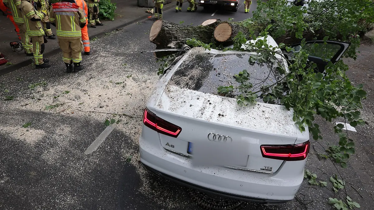 Warum der Baum umkippte, war noch unklar. Einen Sturm gab es nicht.