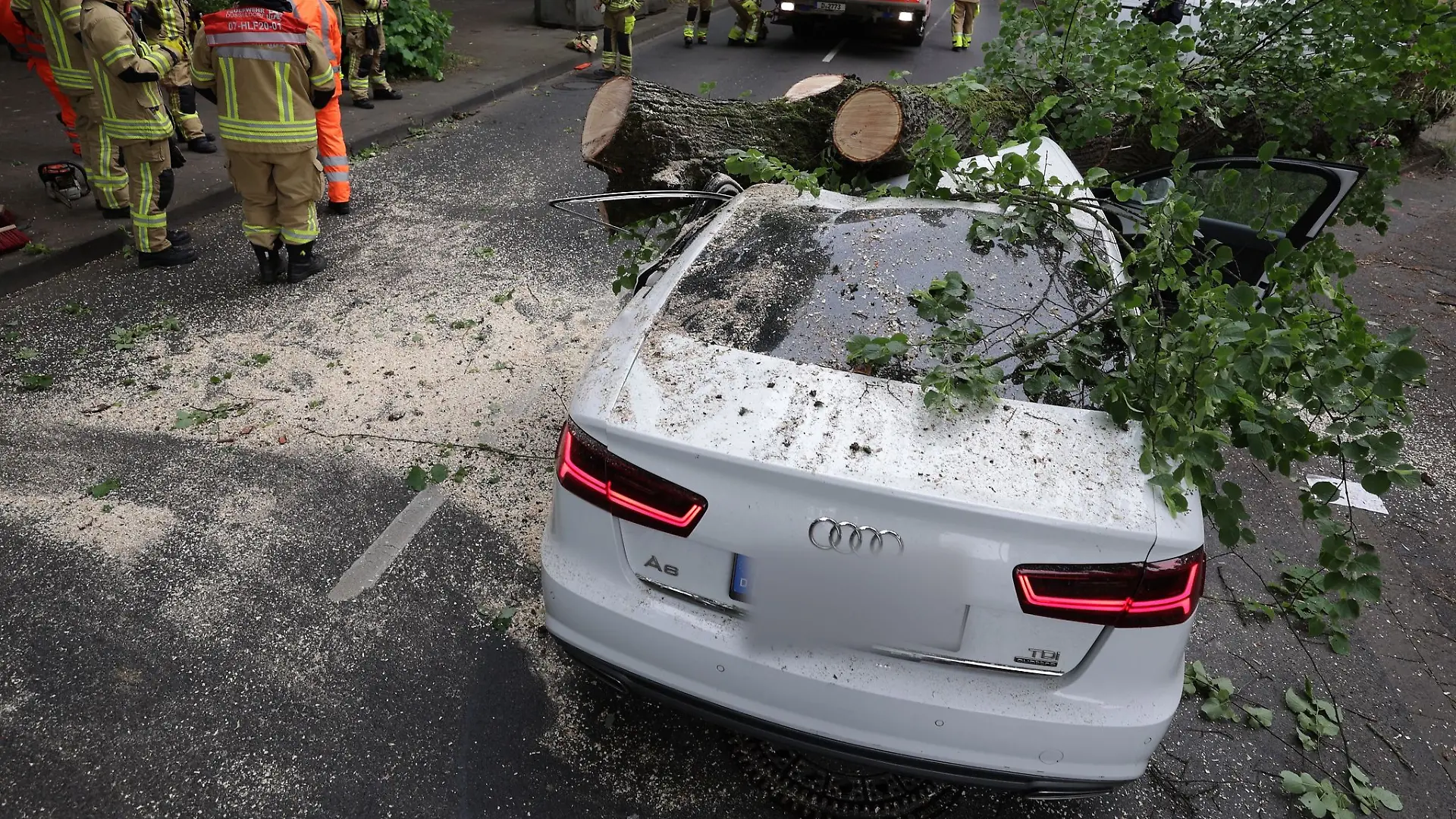 Warum der Baum umkippte, war noch unklar. Einen Sturm gab es nicht.